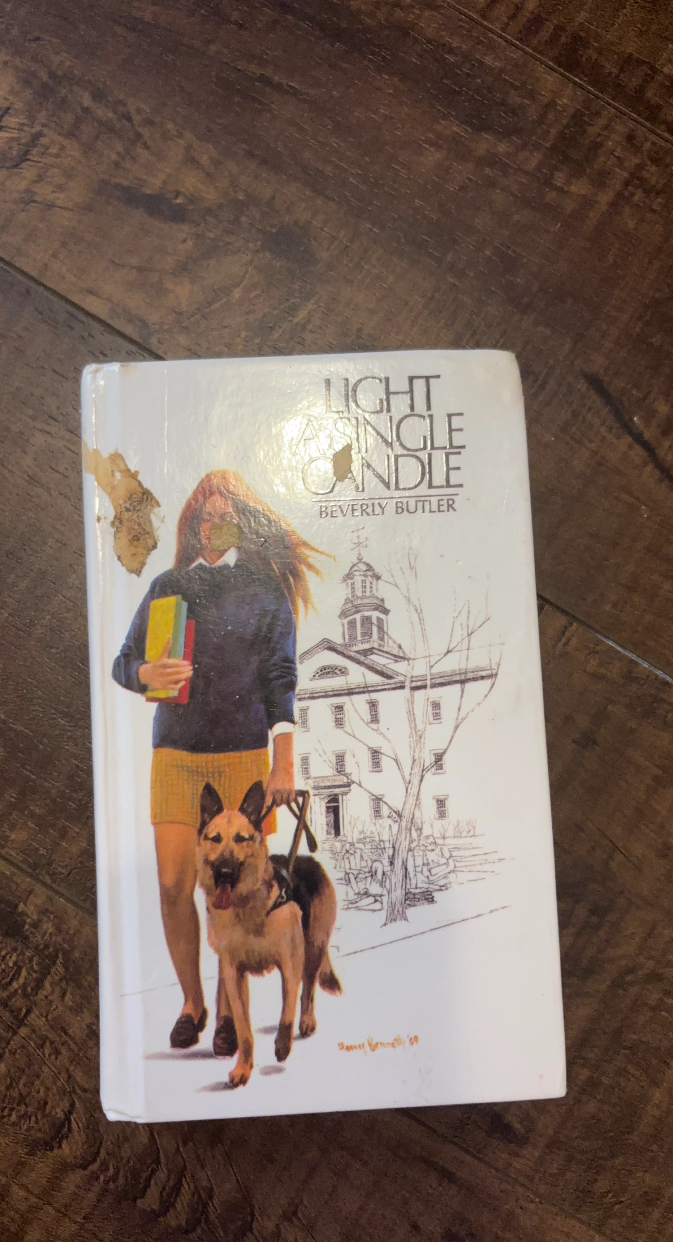 Light a Single Candle by Beverly Butler Book
