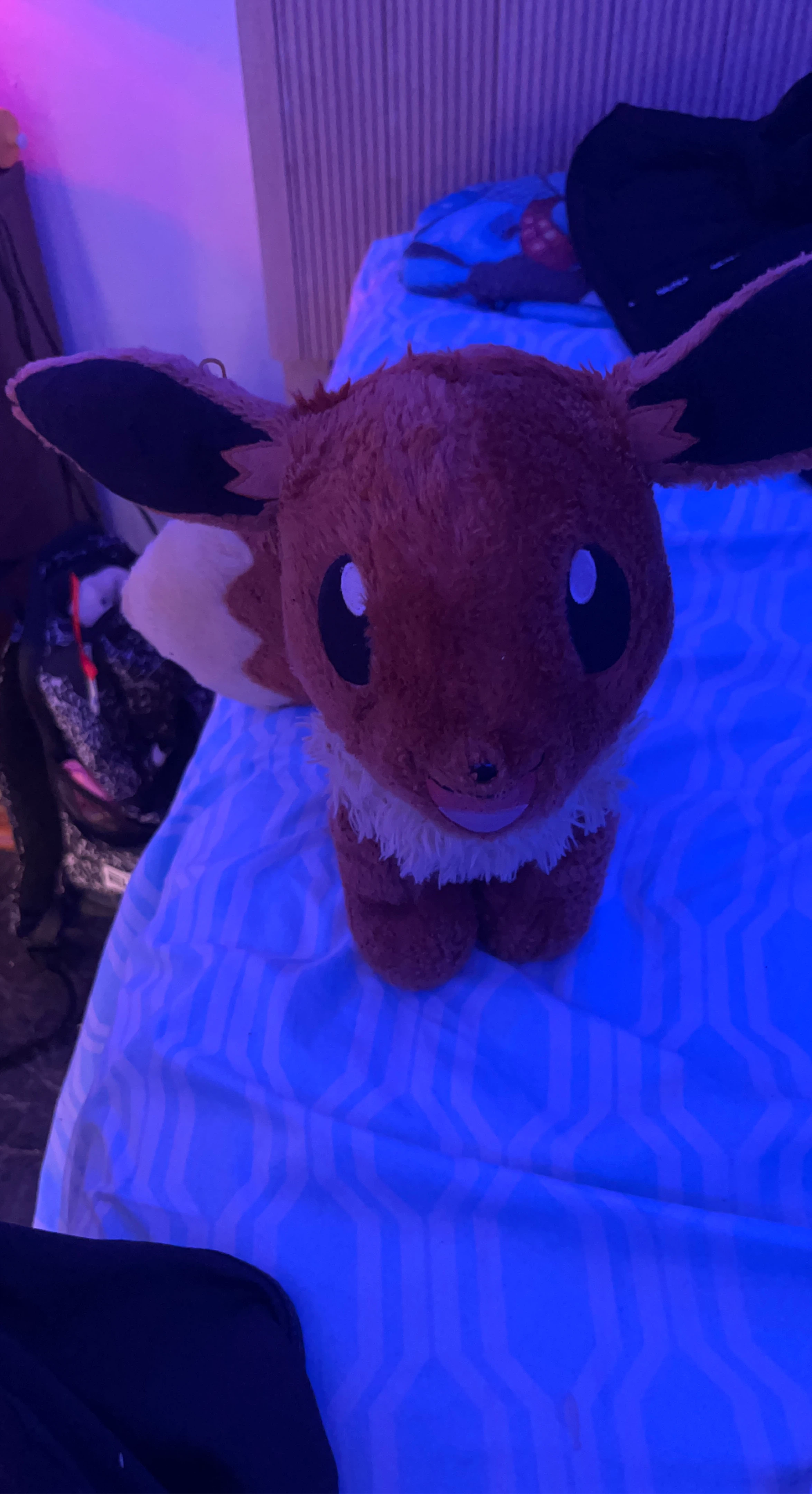 Eevee Plush Toy