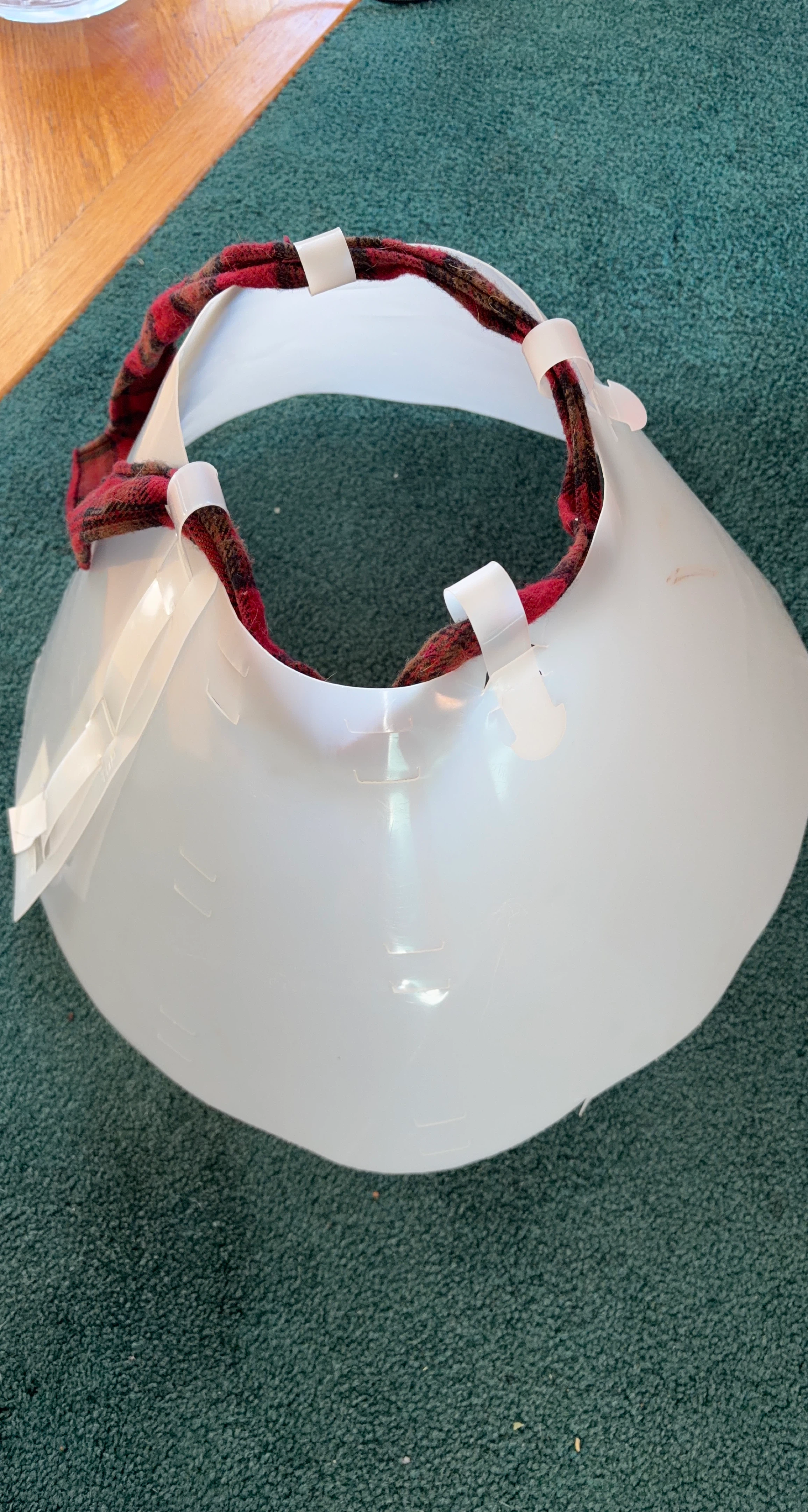 Pet Cone/Collar with Red Plaid