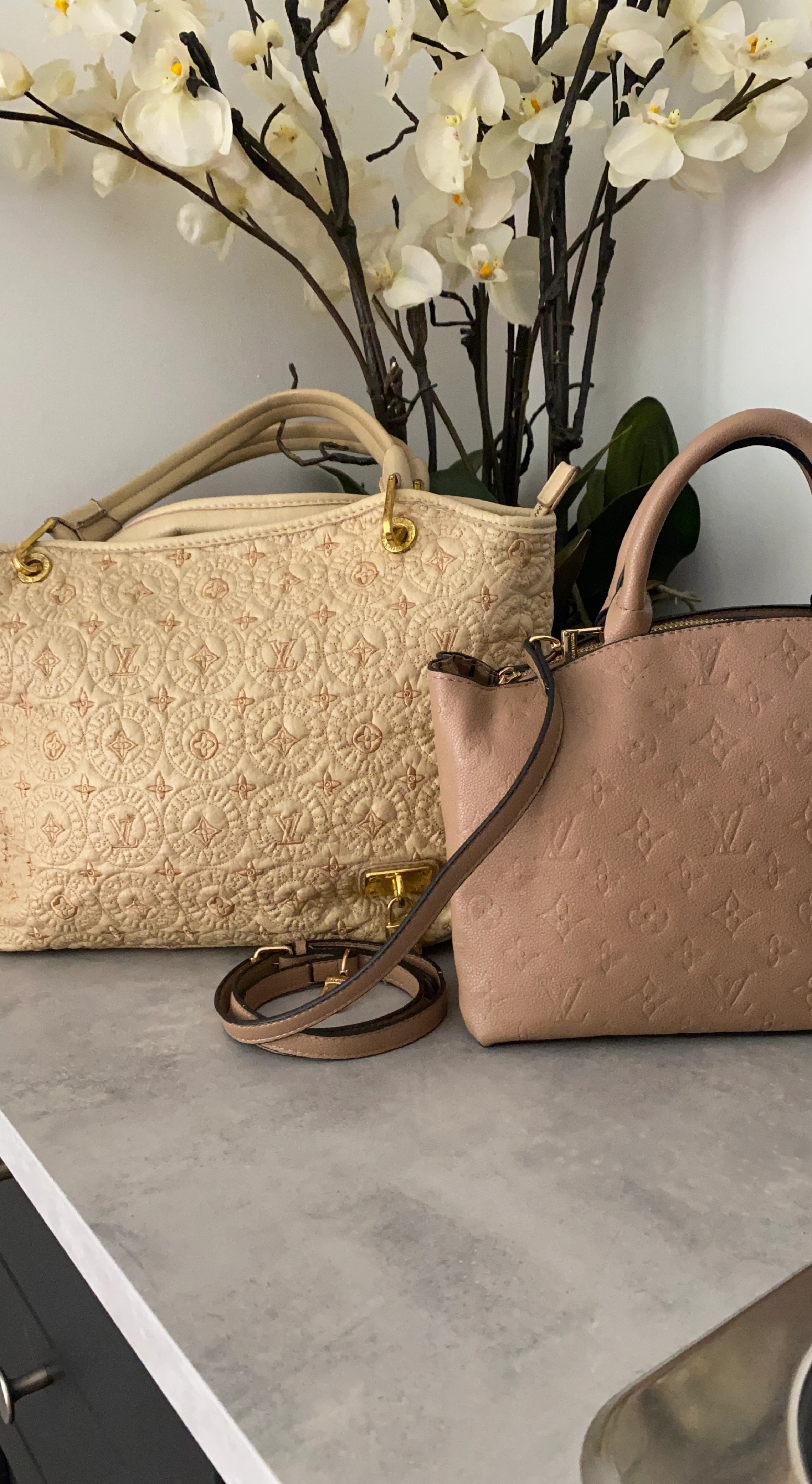 Louis Vuitton Handbags Set