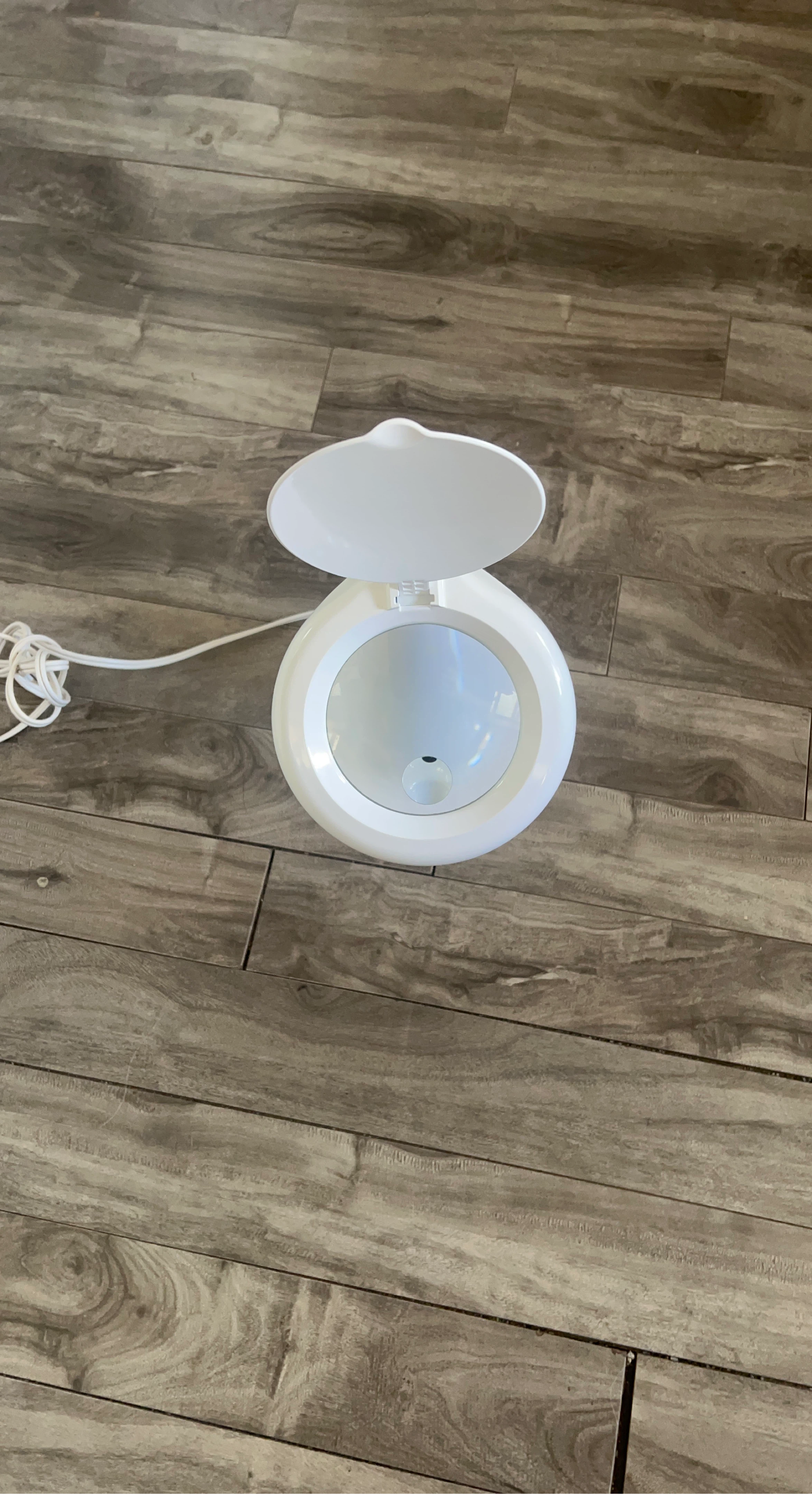 White Facial Steamer