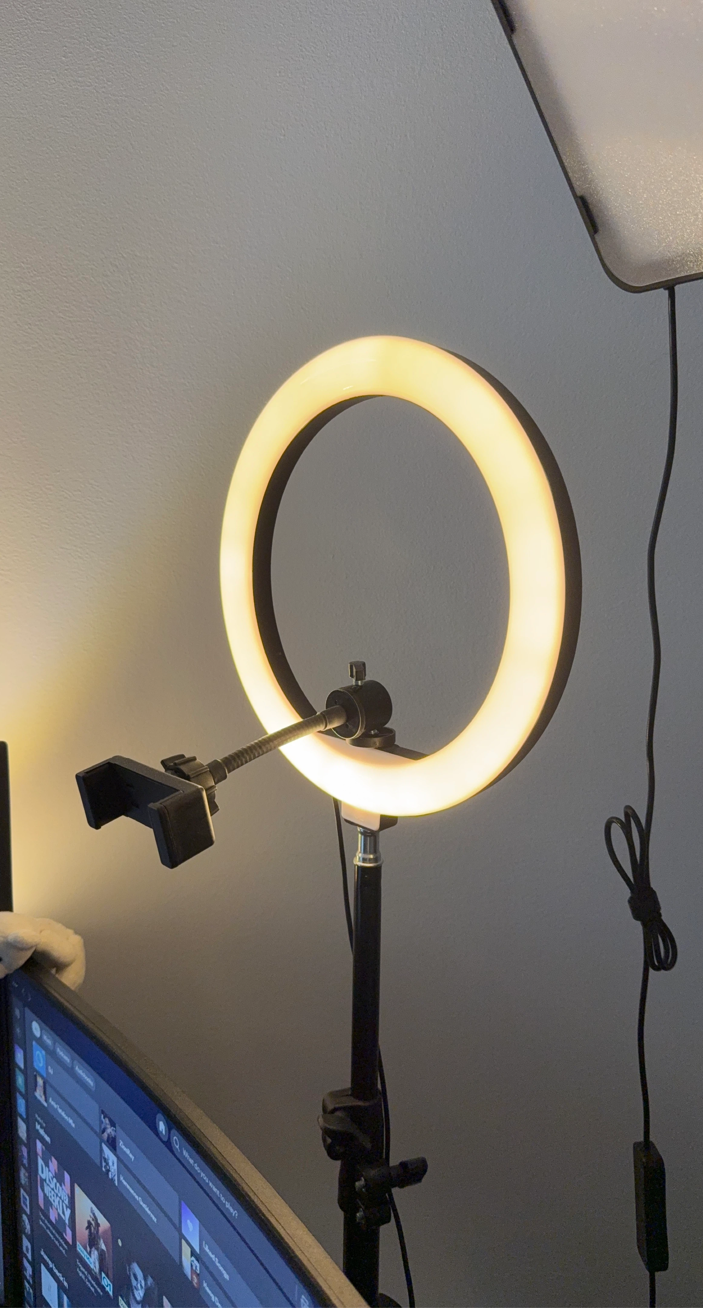 Ring Light with Phone Mount