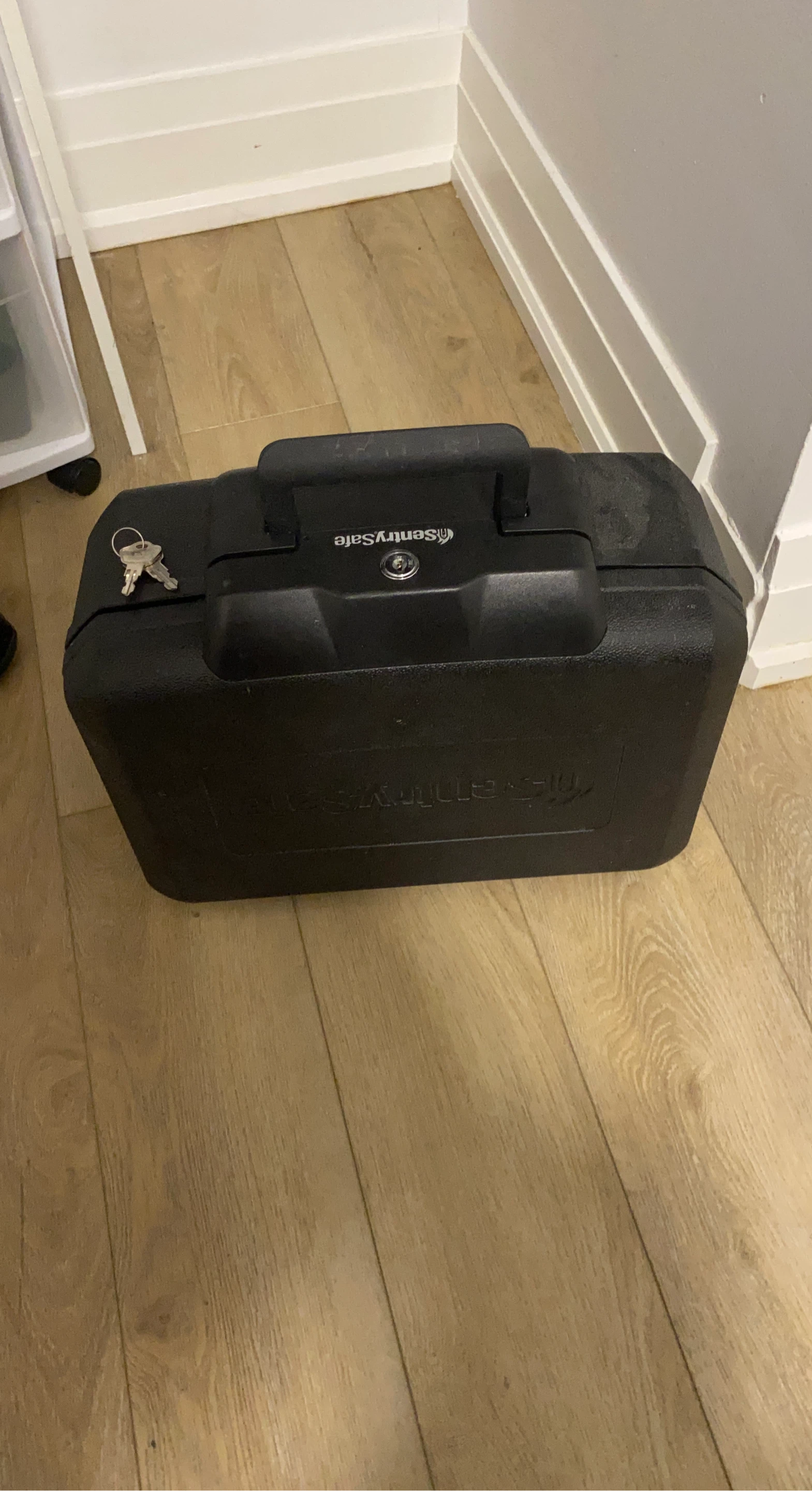 SentrySafe Black Fireproof Safe Box with Keys