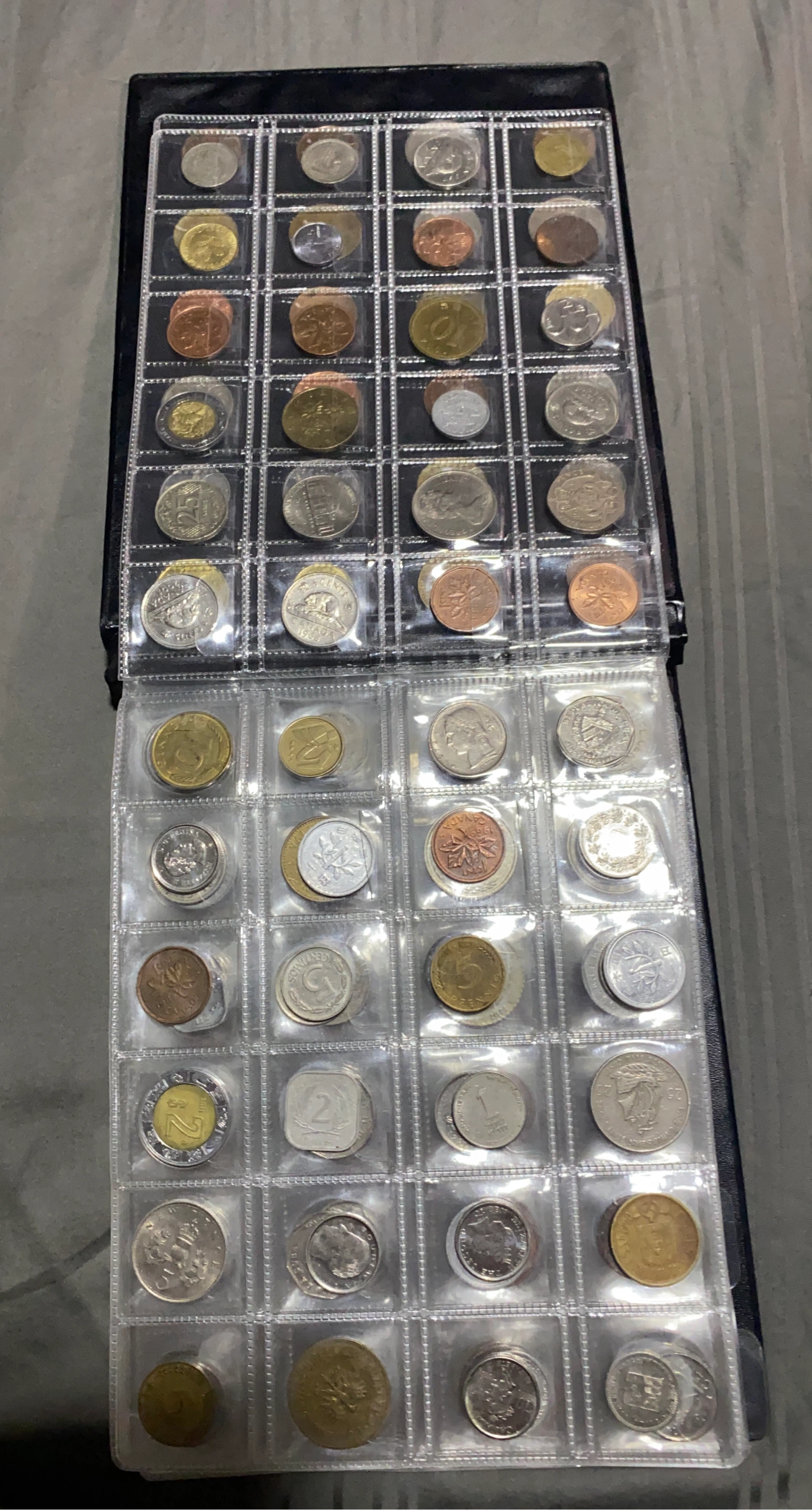 Coin Collection Album (300 pieces)