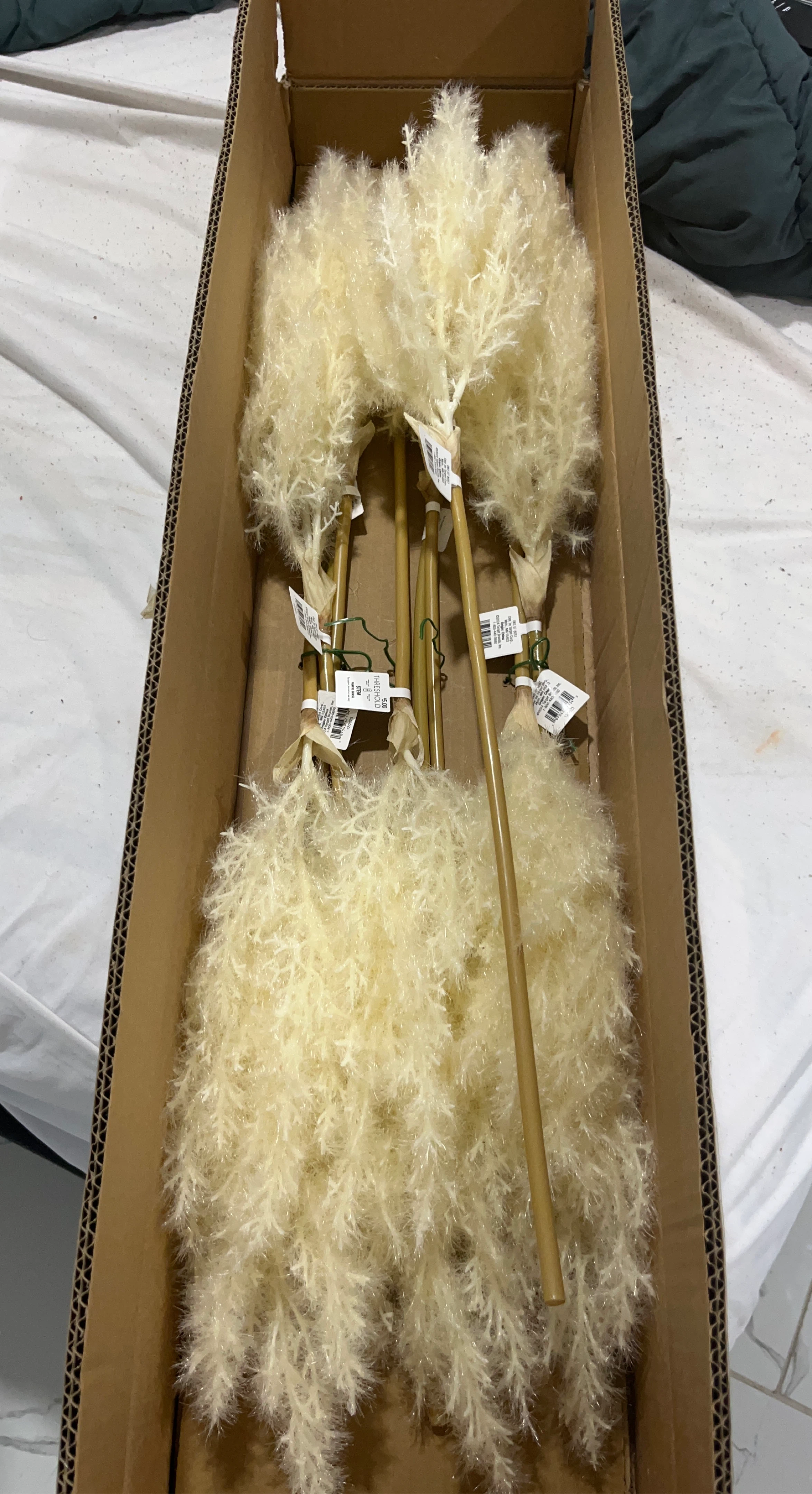 Set of 5 Cream Faux Pampas Grass Stems