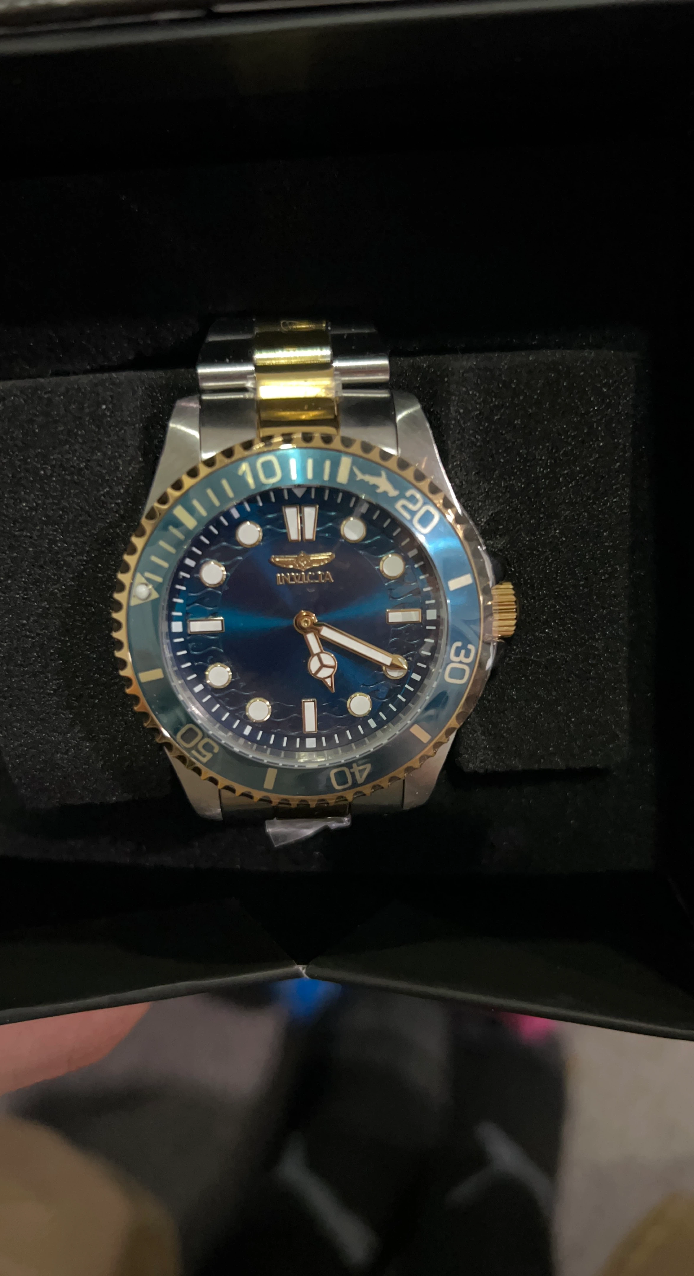Invicta Pro Diver Watch - Blue Dial