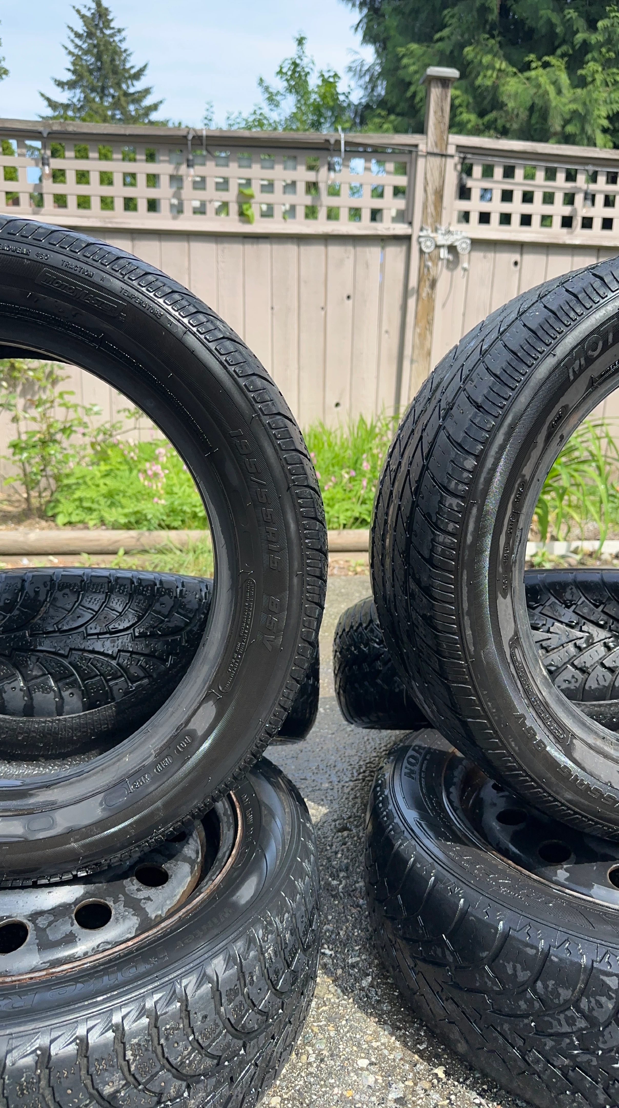 MotoMaster Winter Tires