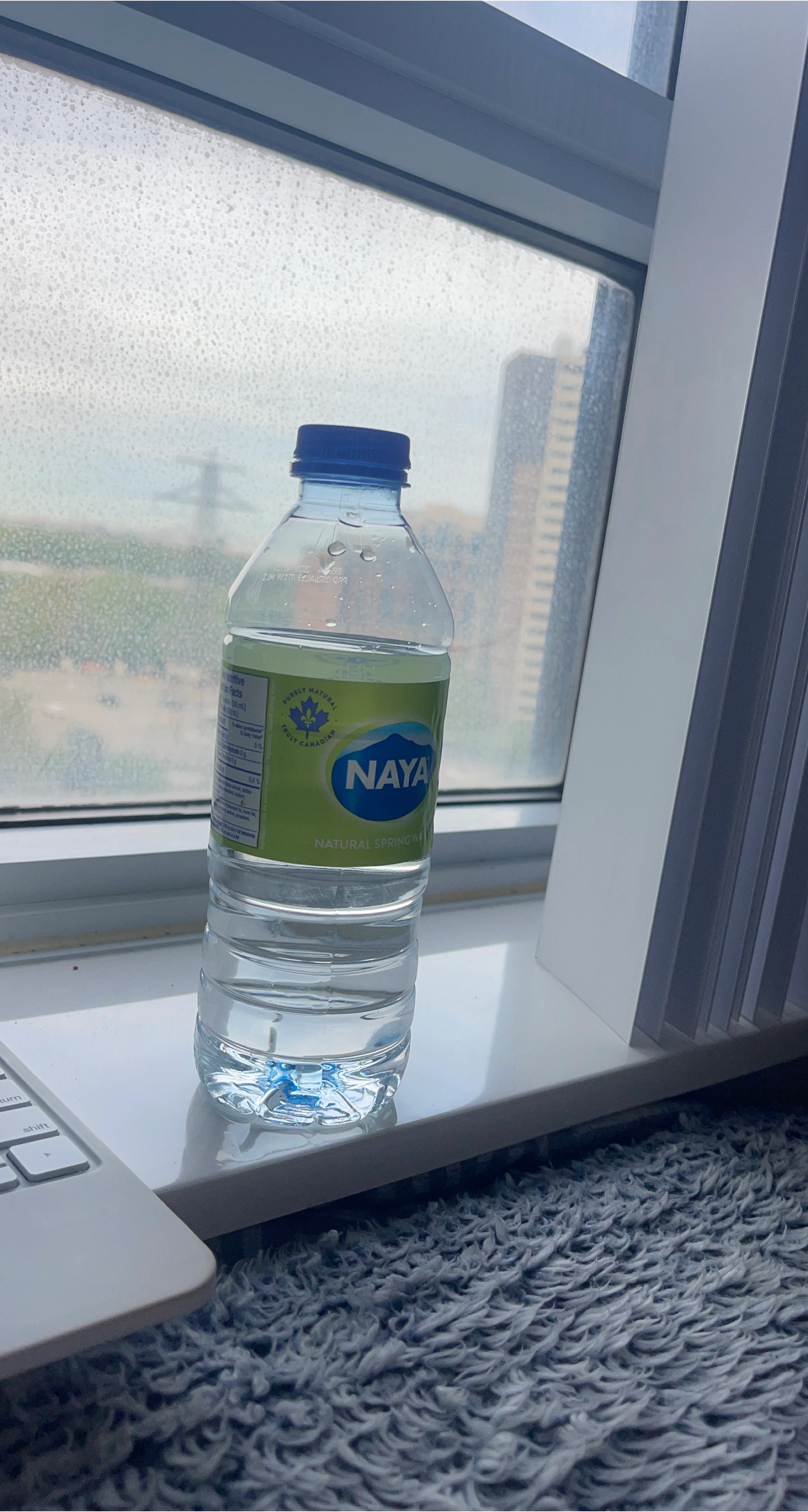 Naya Natural Spring Water Bottle
