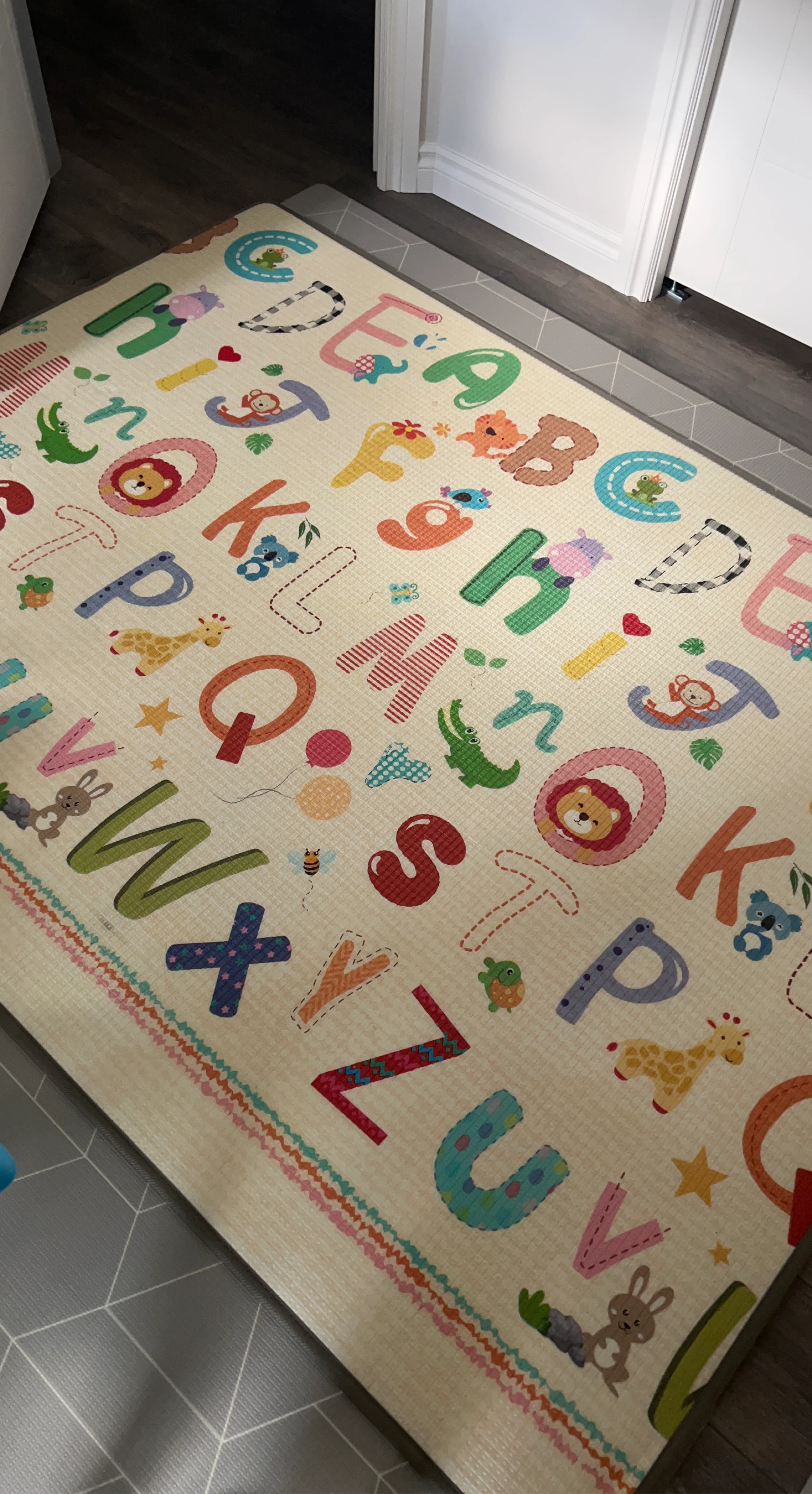 Alphabet and Animals Play Mat