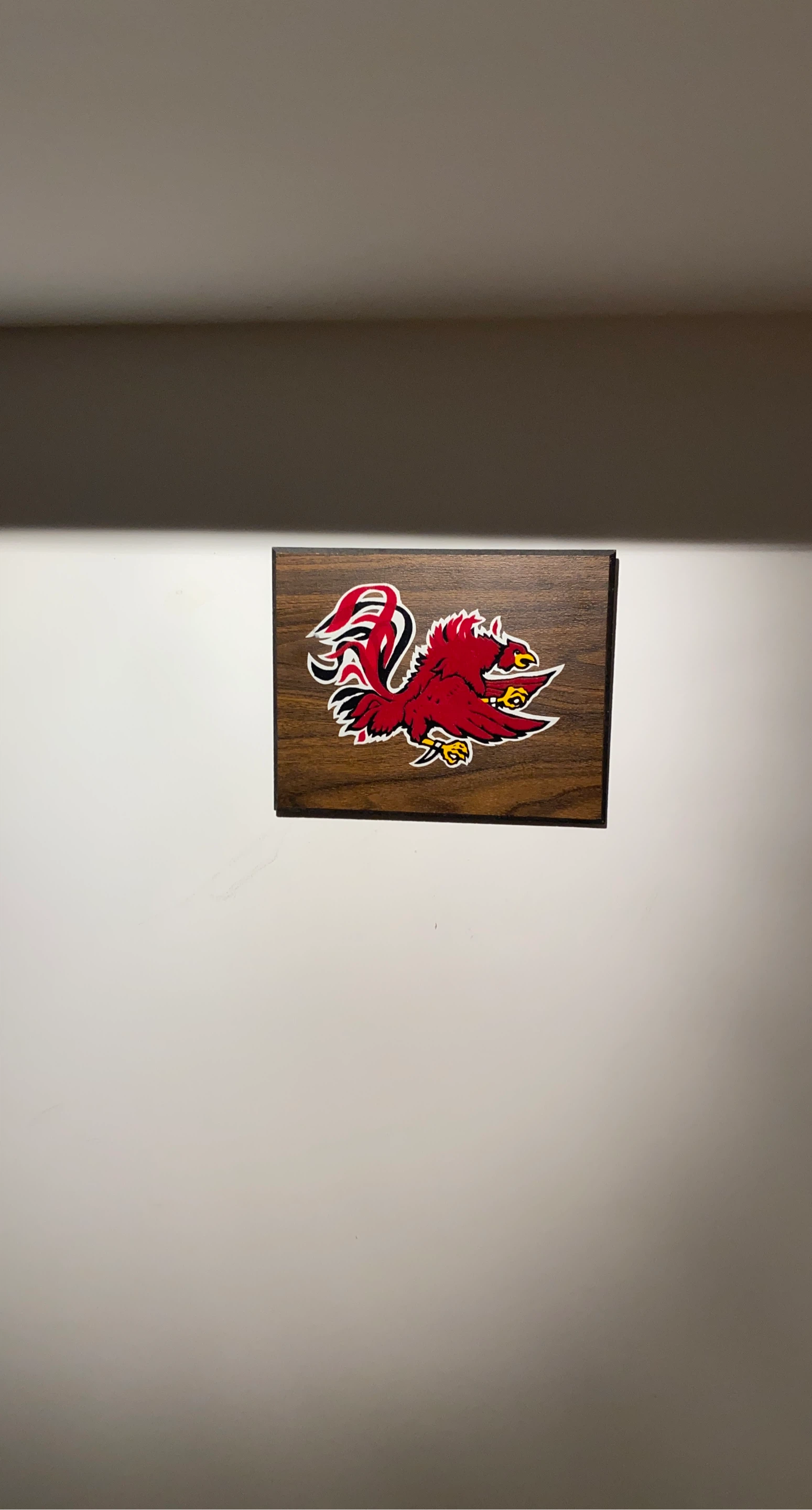 University of South Carolina Gamecocks Wood Plaque