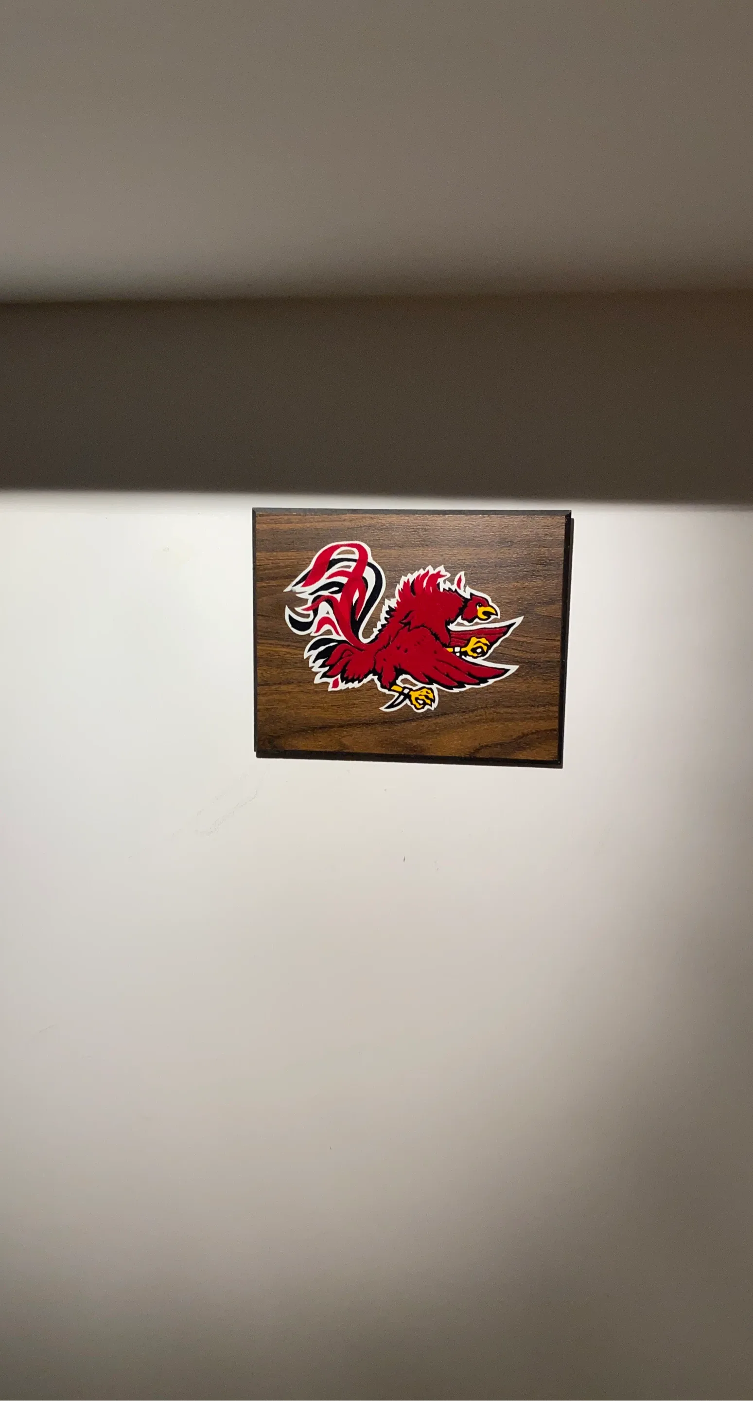 University of South Carolina Gamecocks Wood Plaque