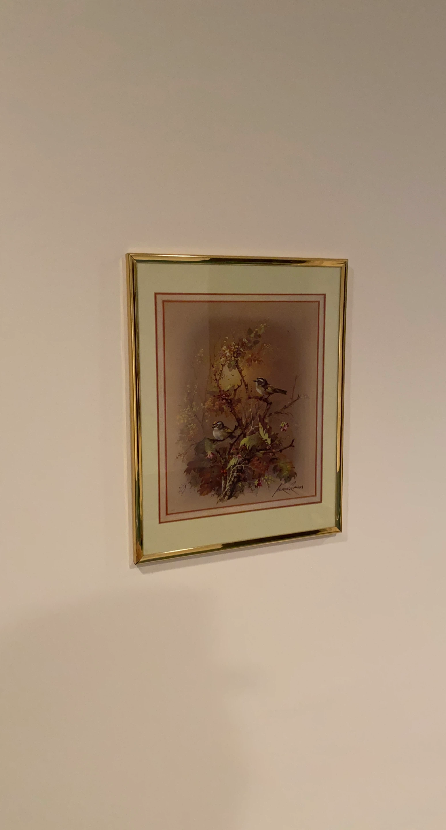 Framed Bird Art Print