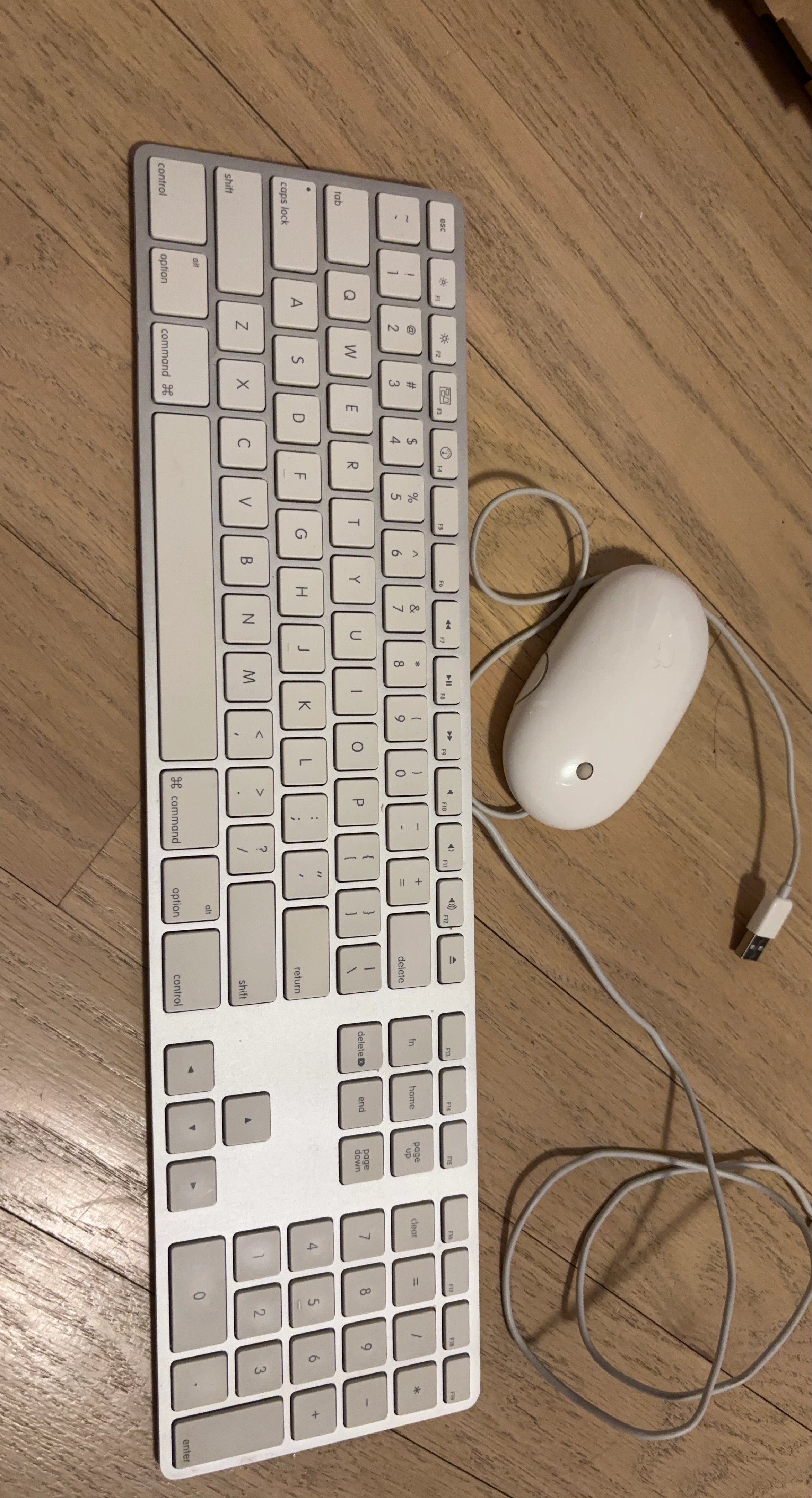 Apple USB Keyboard and Mighty Mouse