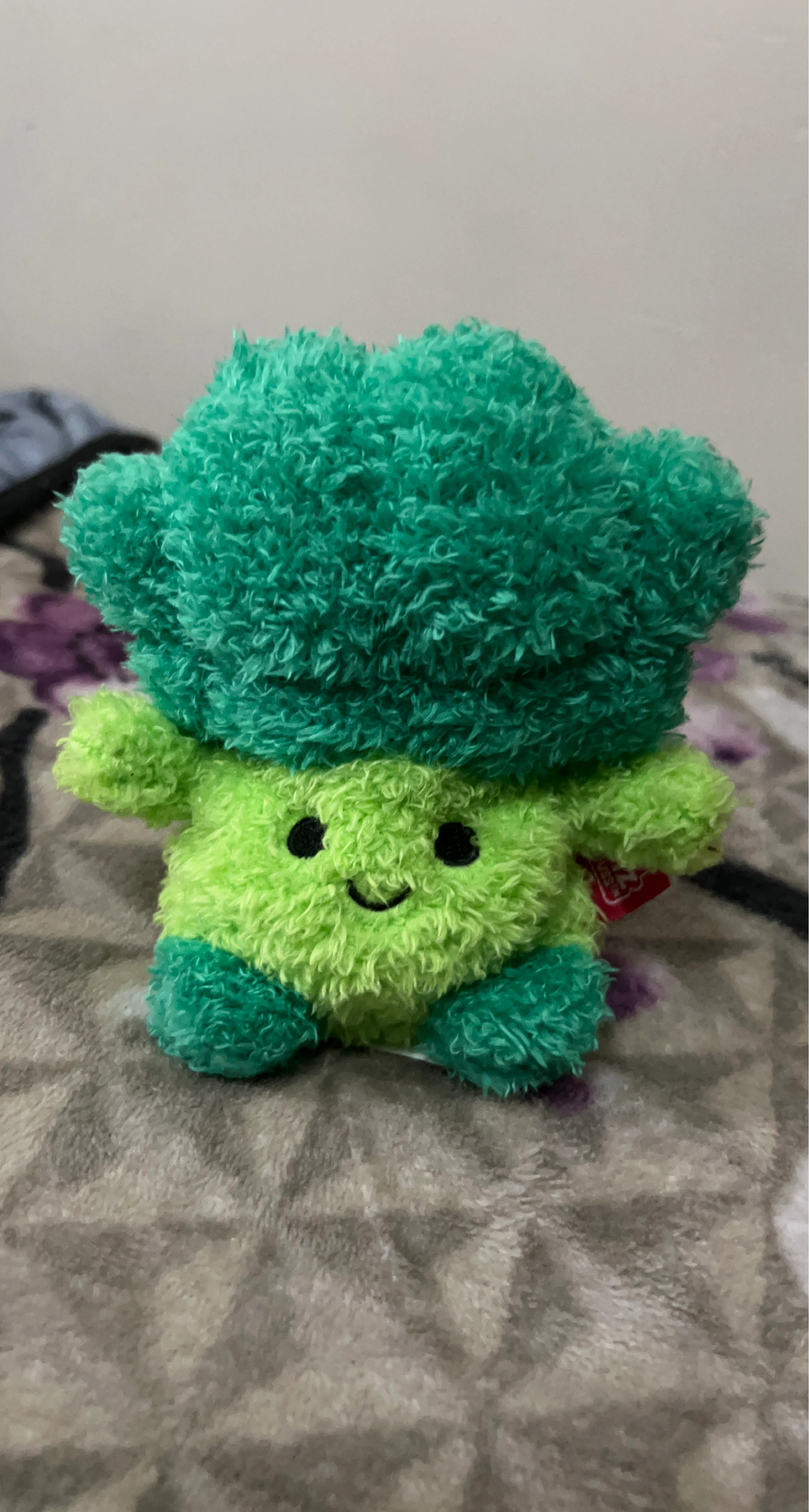 Cute Broccoli Plush Toy NEEDS TO GO TODAY-MONDAY