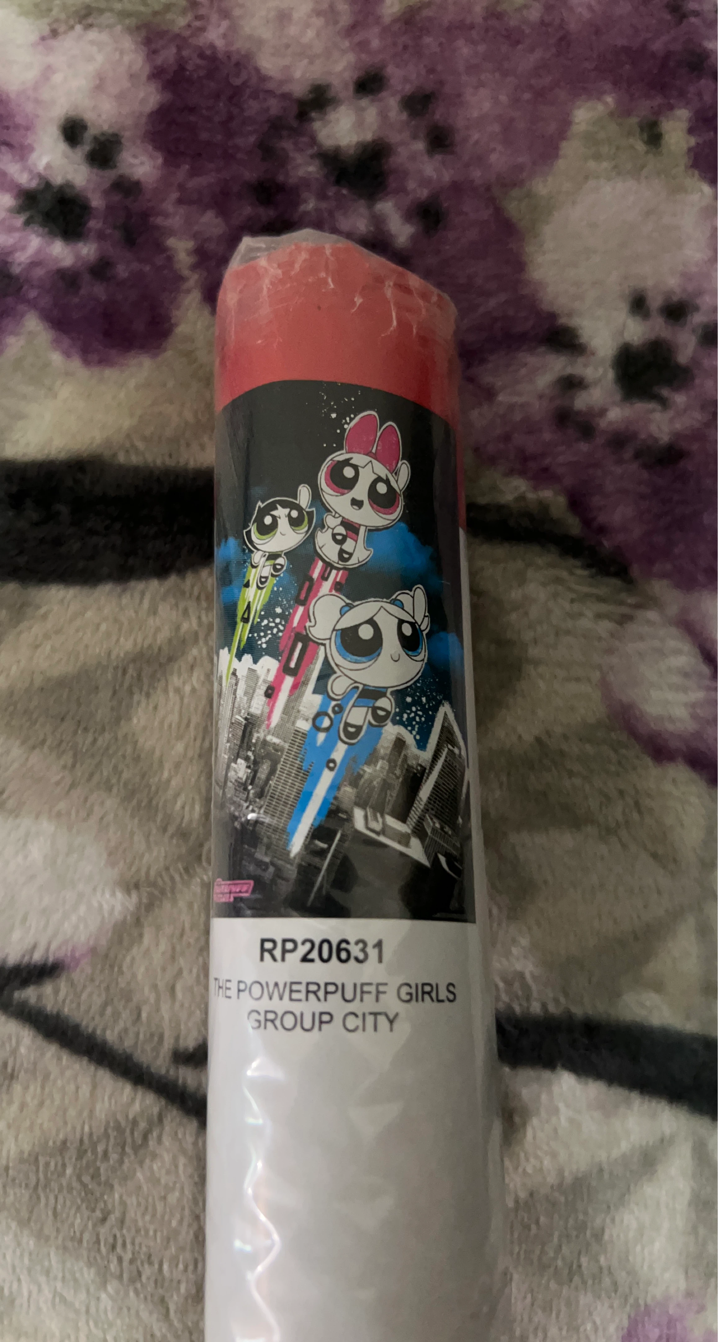The Powerpuff Girls Group City Poster RP20631
