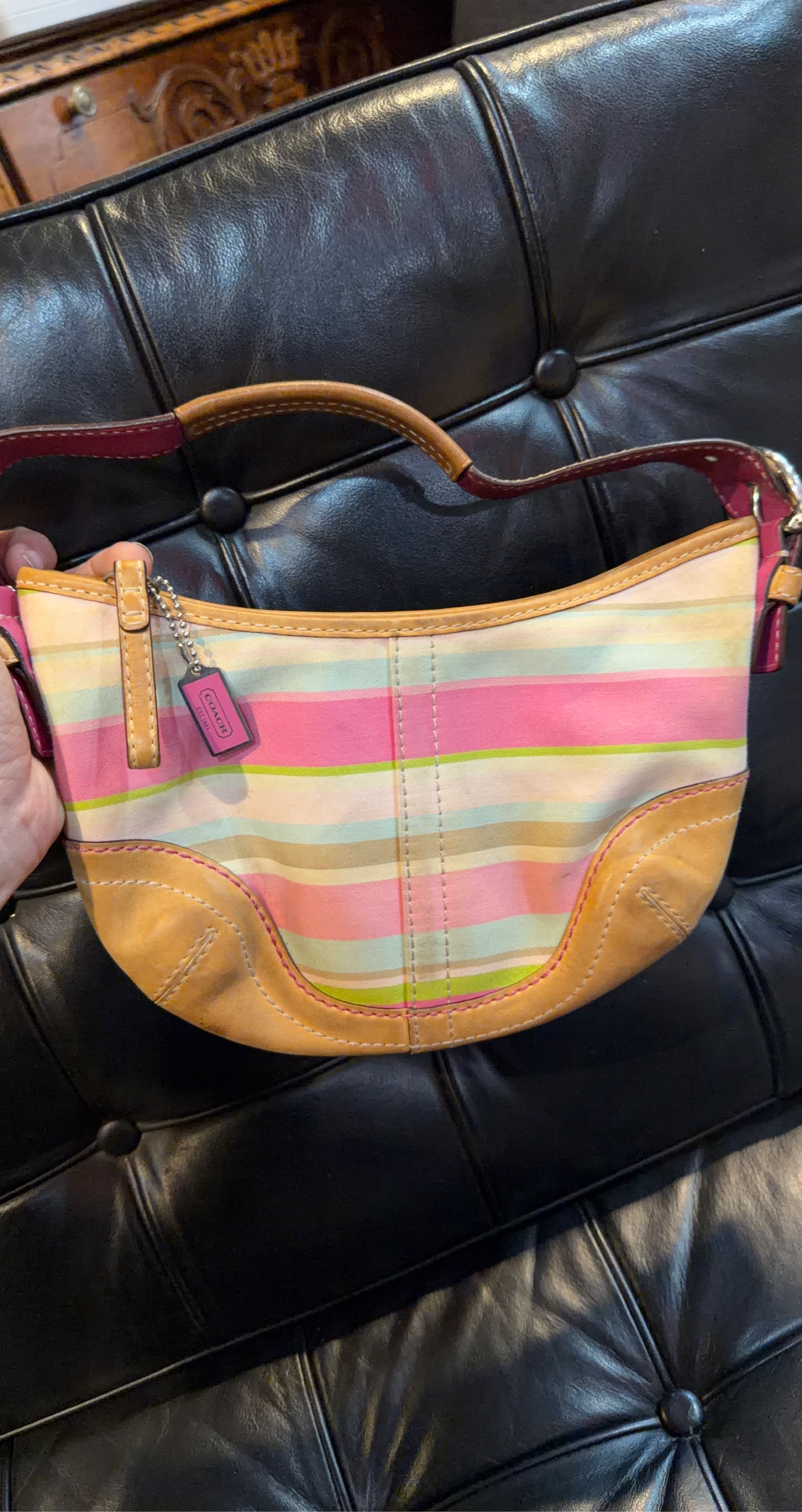 Coach Striped Shoulder Bag