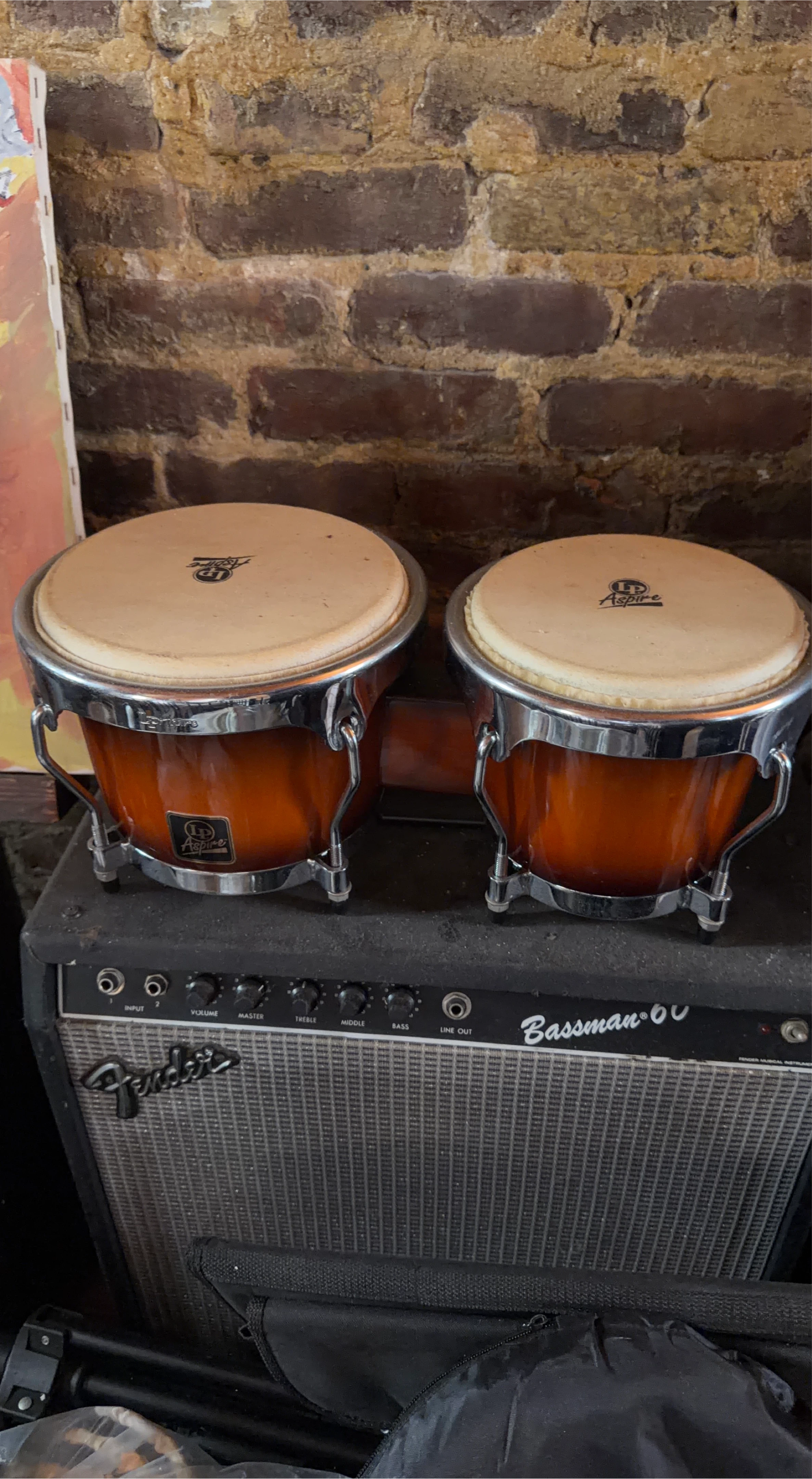 LP Aspire Bongo Drums