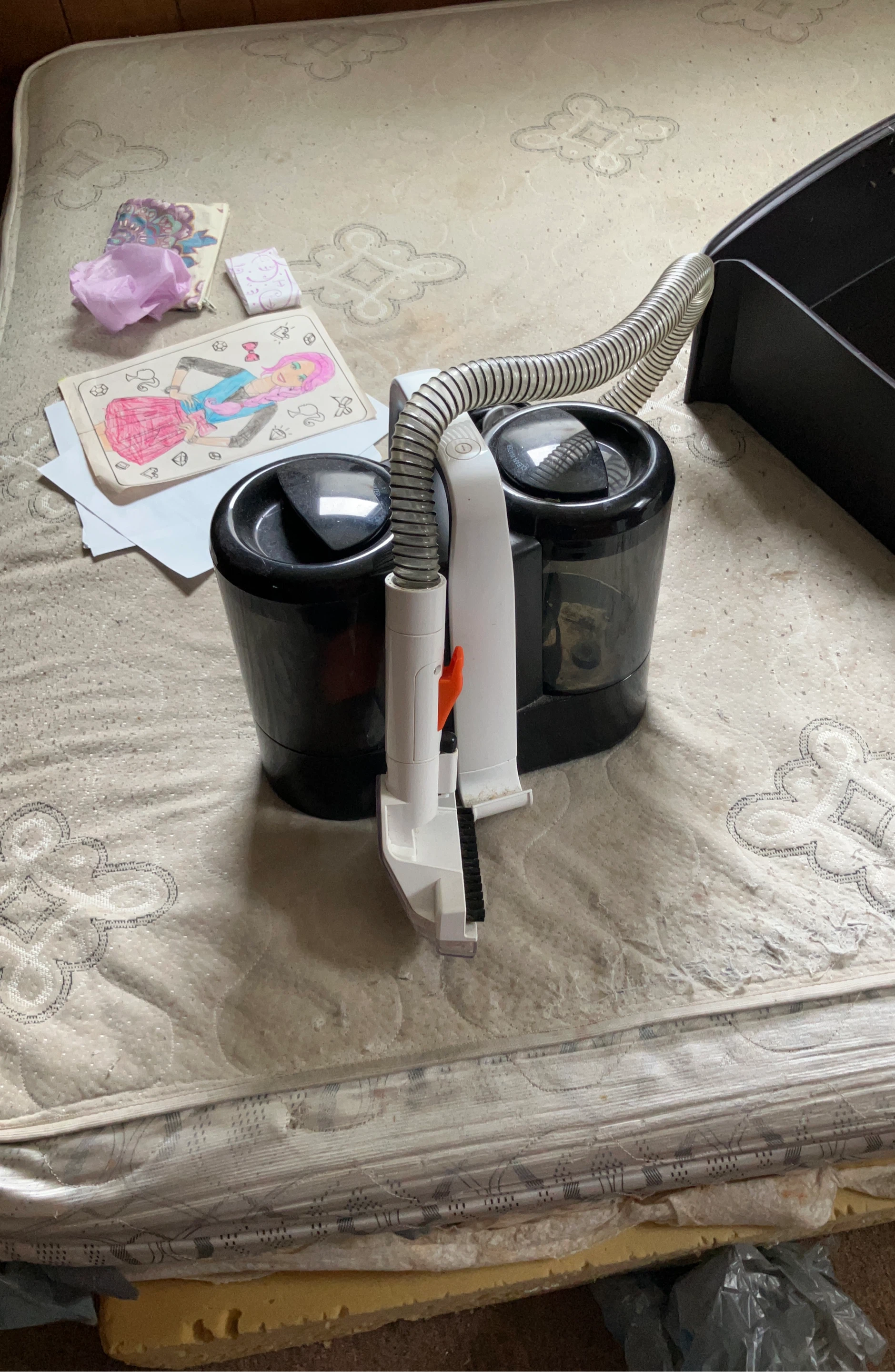 Black Portable Carpet/Upholstery Cleaner