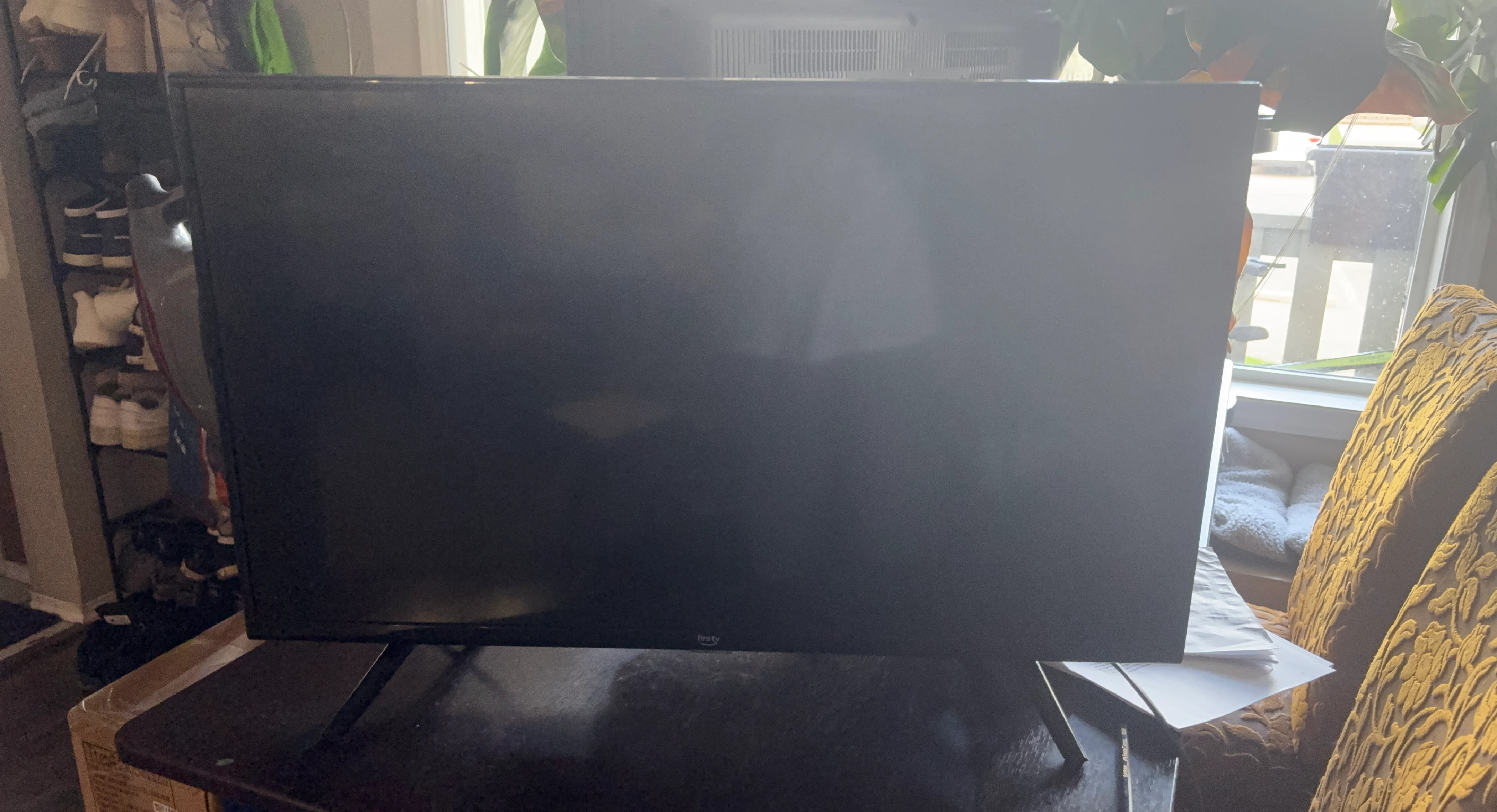 Amazon Fire TV