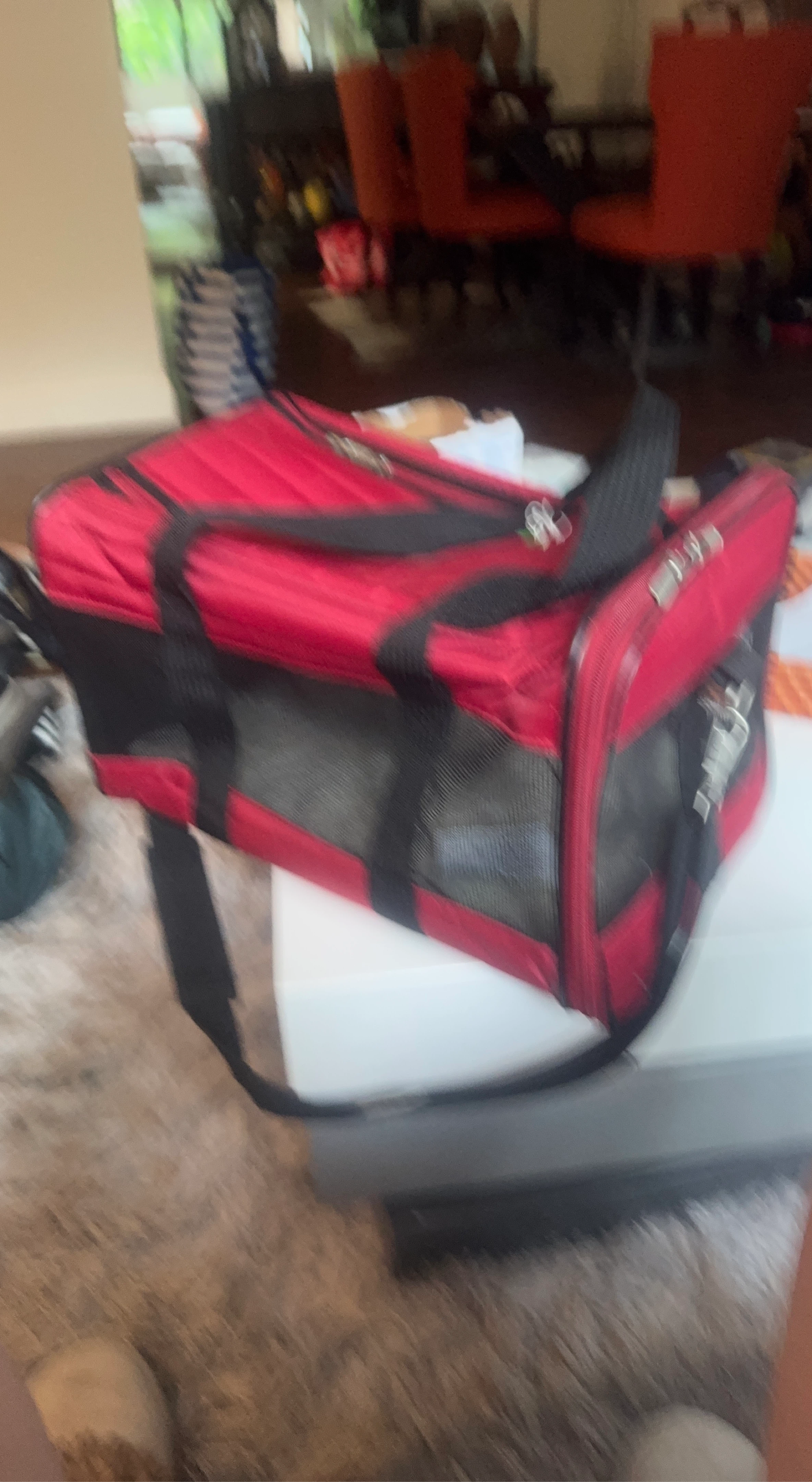 Red and Black Pet Carrier Bag