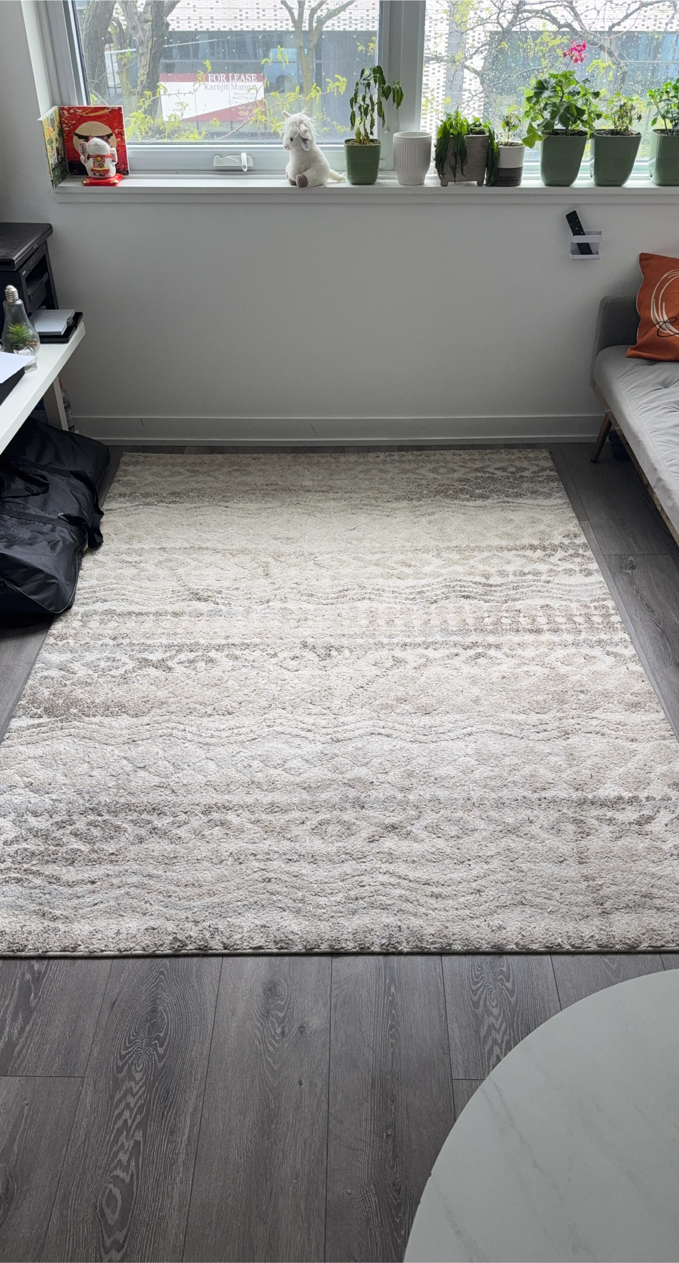 Gray Area Rug