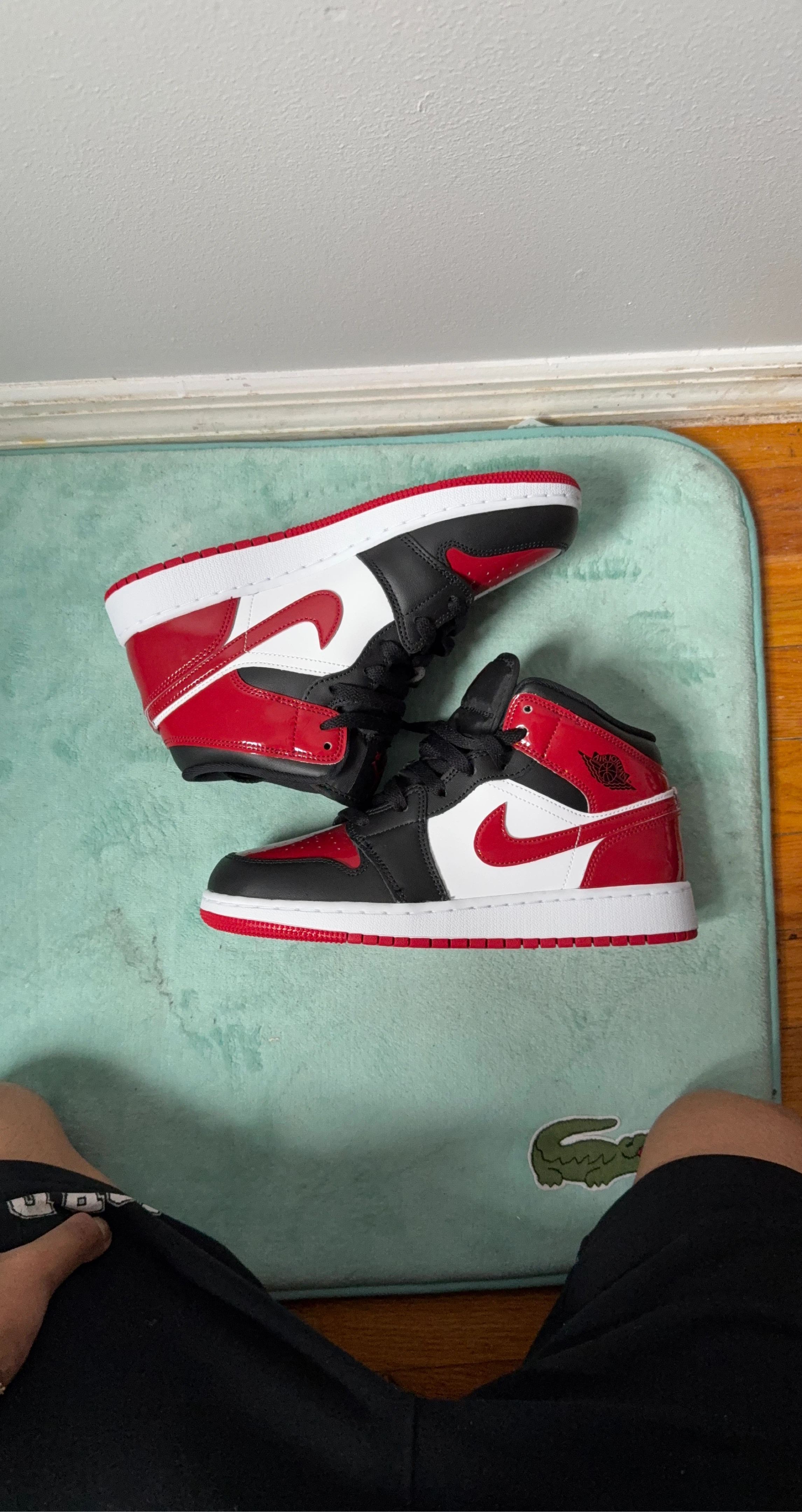 Air Jordan 1 Mid SE Men's Shoes
