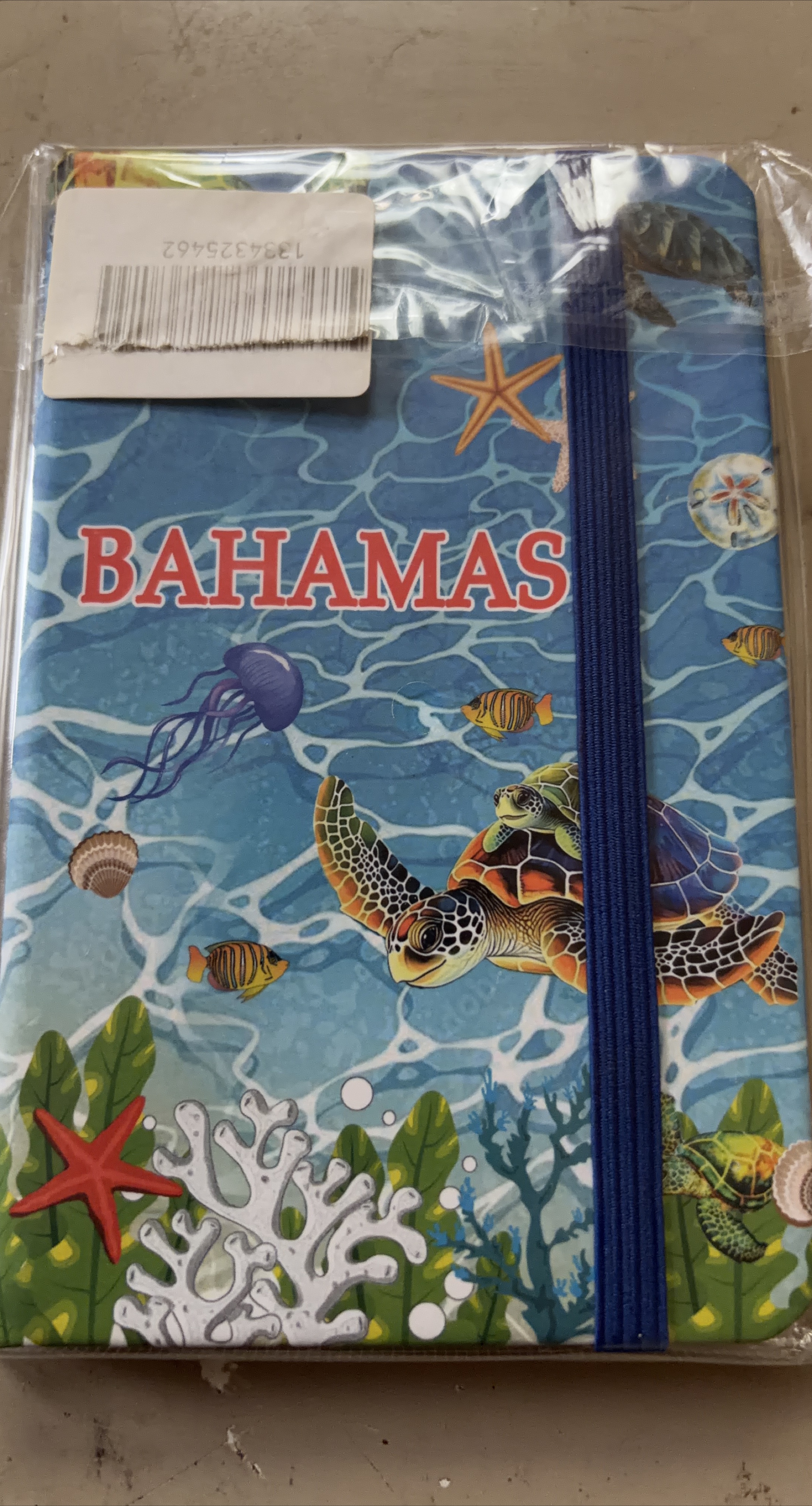 Bahamas Turtle and Ocean Notebooklet