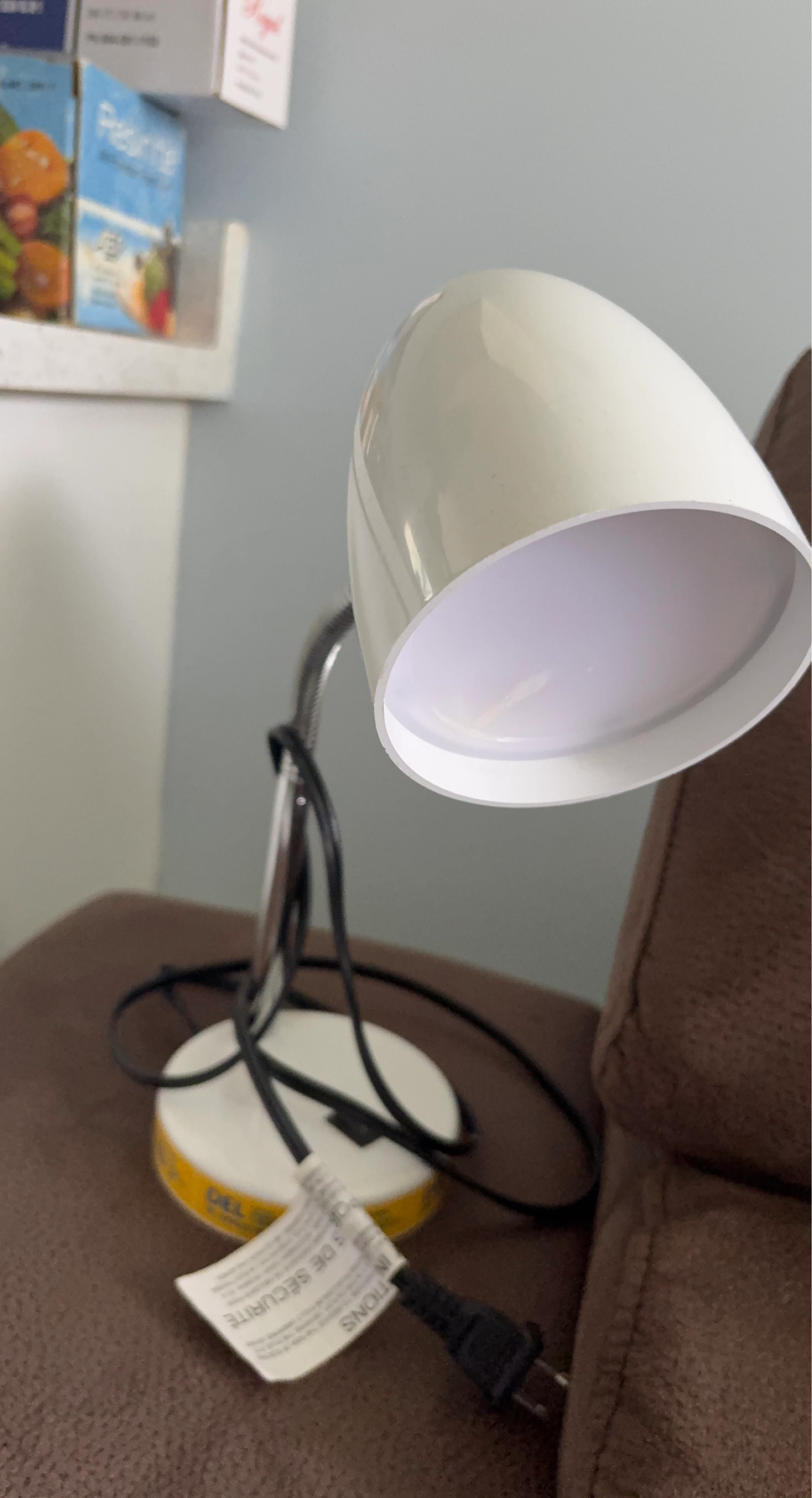 White Gooseneck Desk Lamp