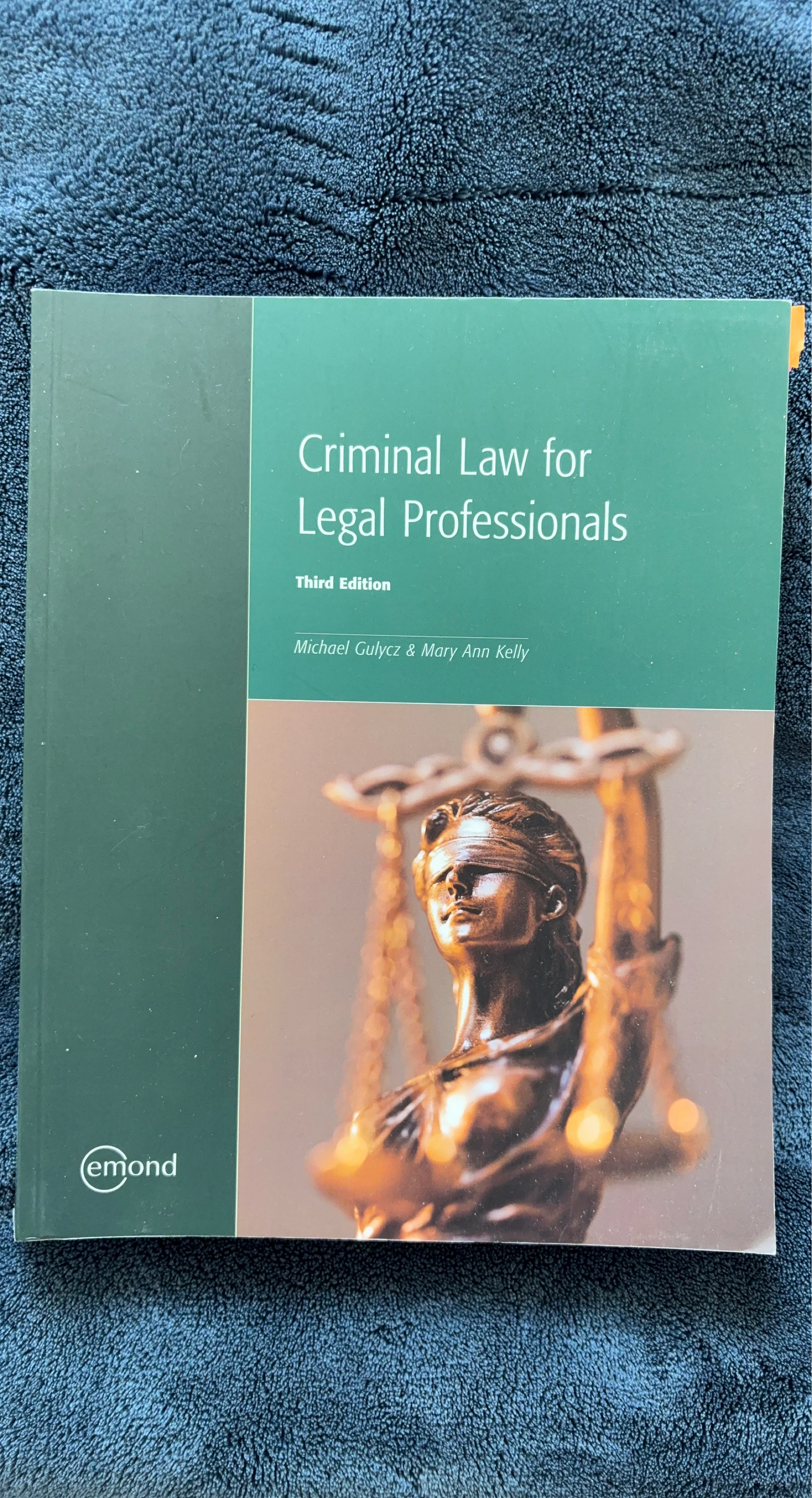 Criminal Law for Legal Professionals - Third Edition