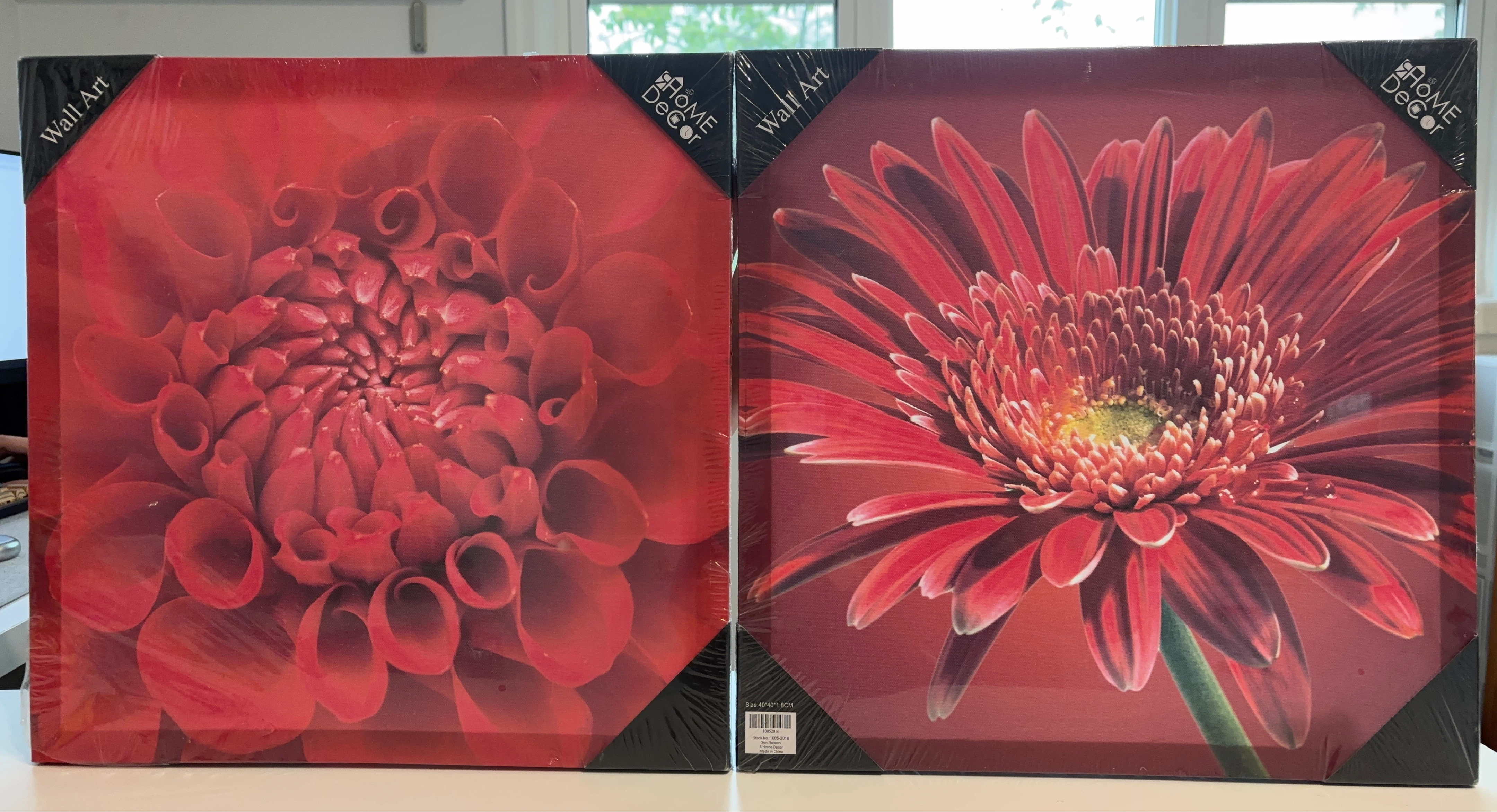 Home Decor Wall Art Canvas Prints (Set of 2)