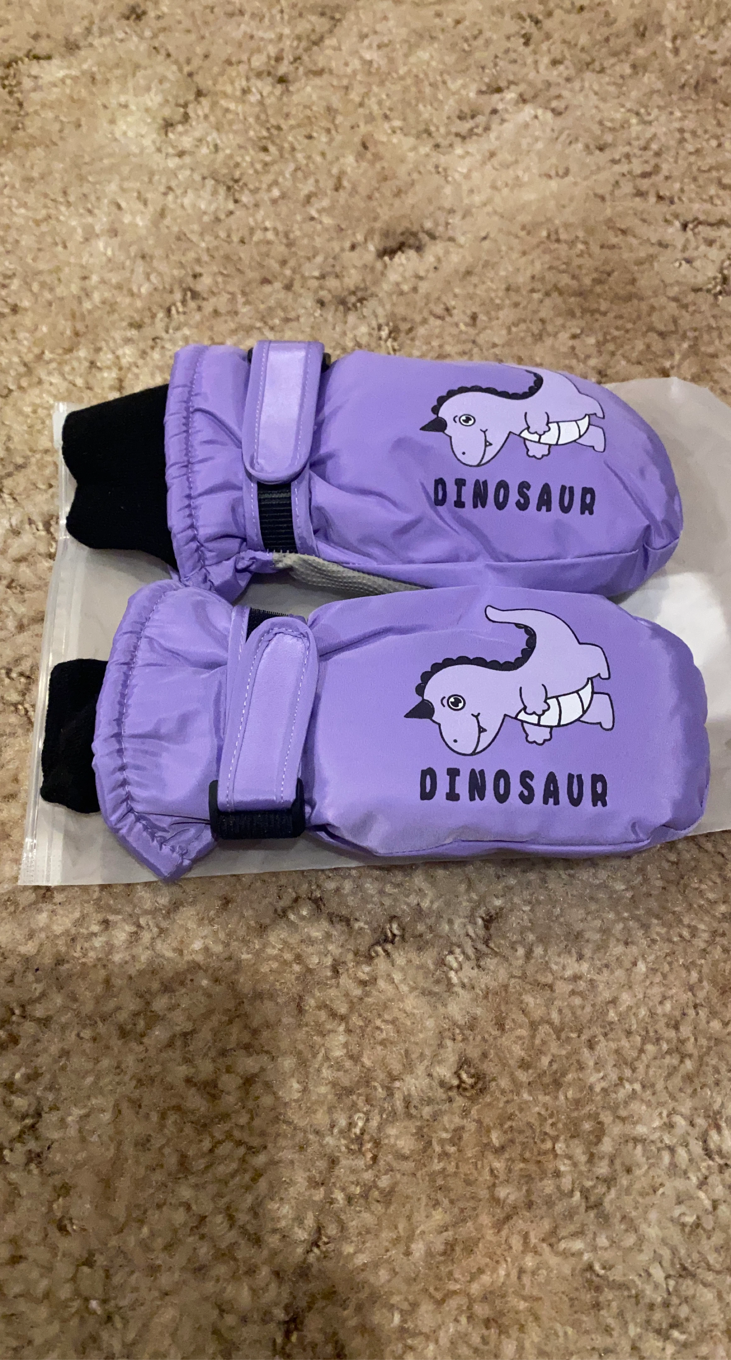 Purple Dinosaur Mittens