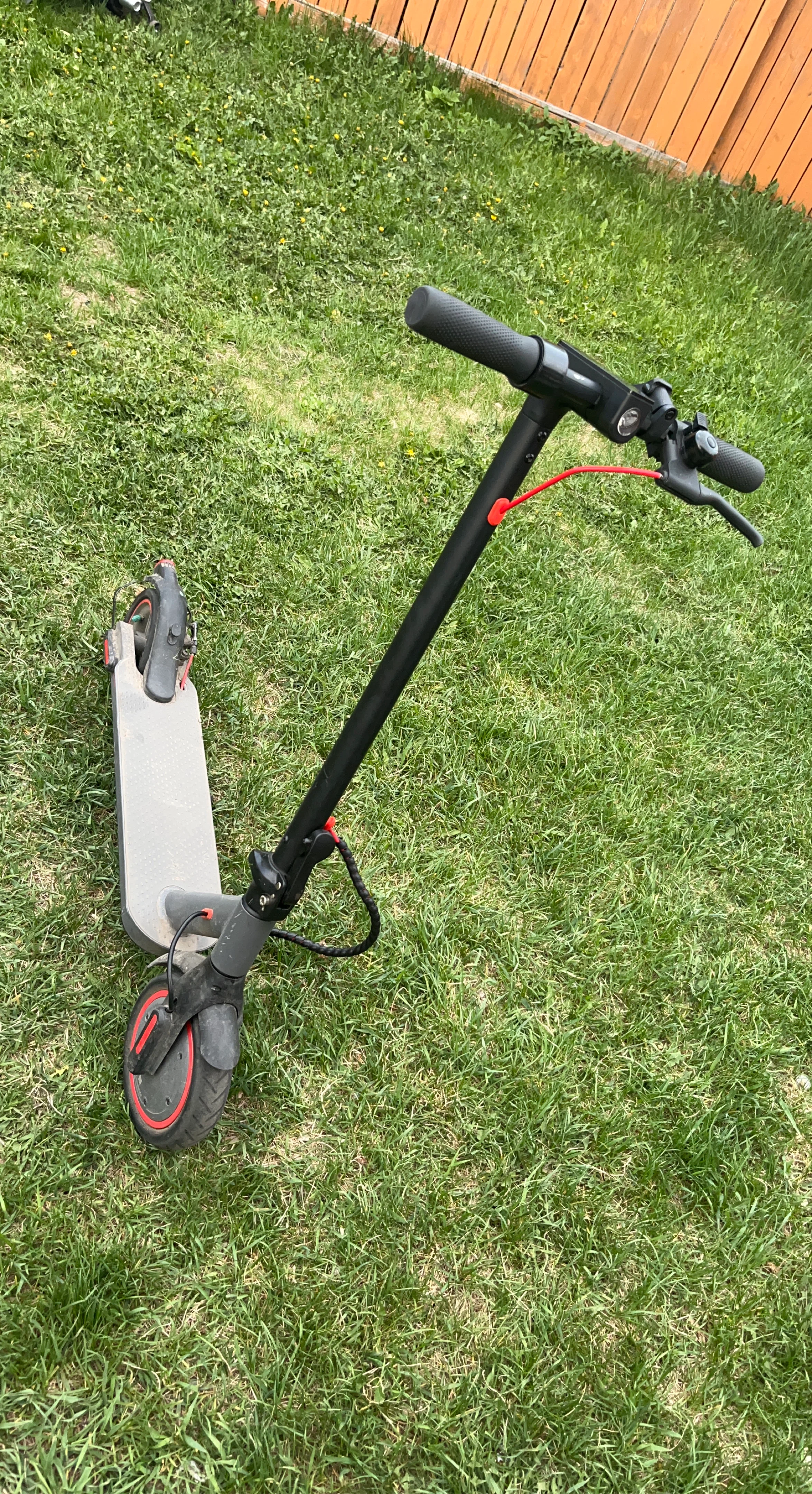 Electric Scooter - Grey