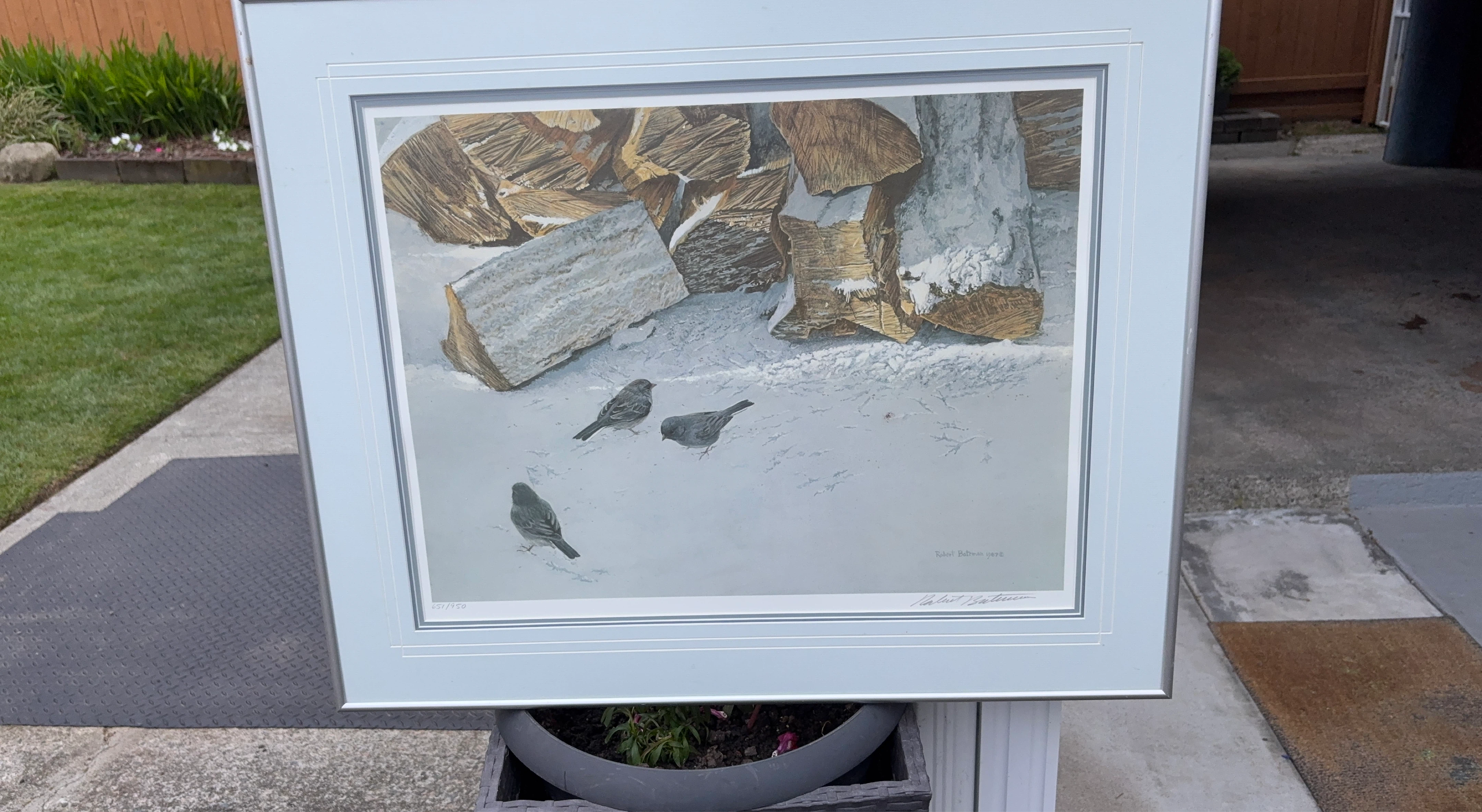 Robert Bateman Print 'Winter Sparrows' 651/950