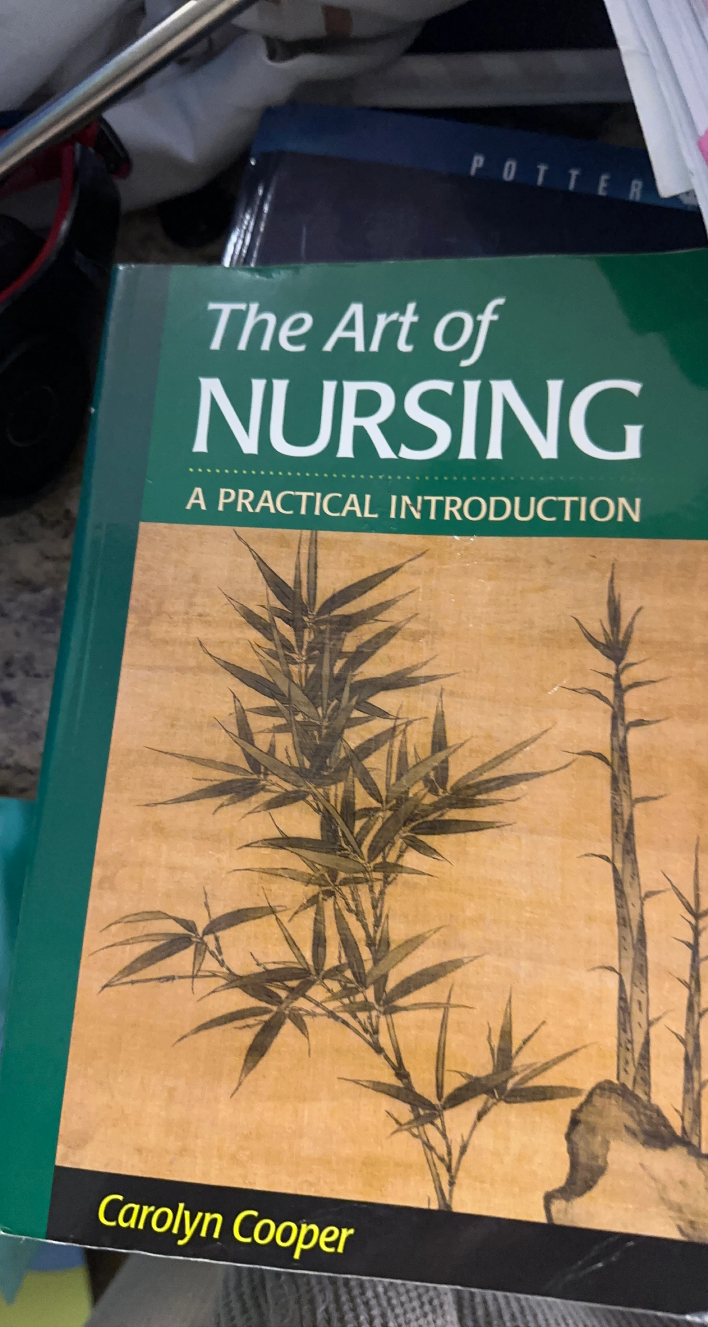 The Art of Nursing: A Practical Introduction by Carolyn Cooper