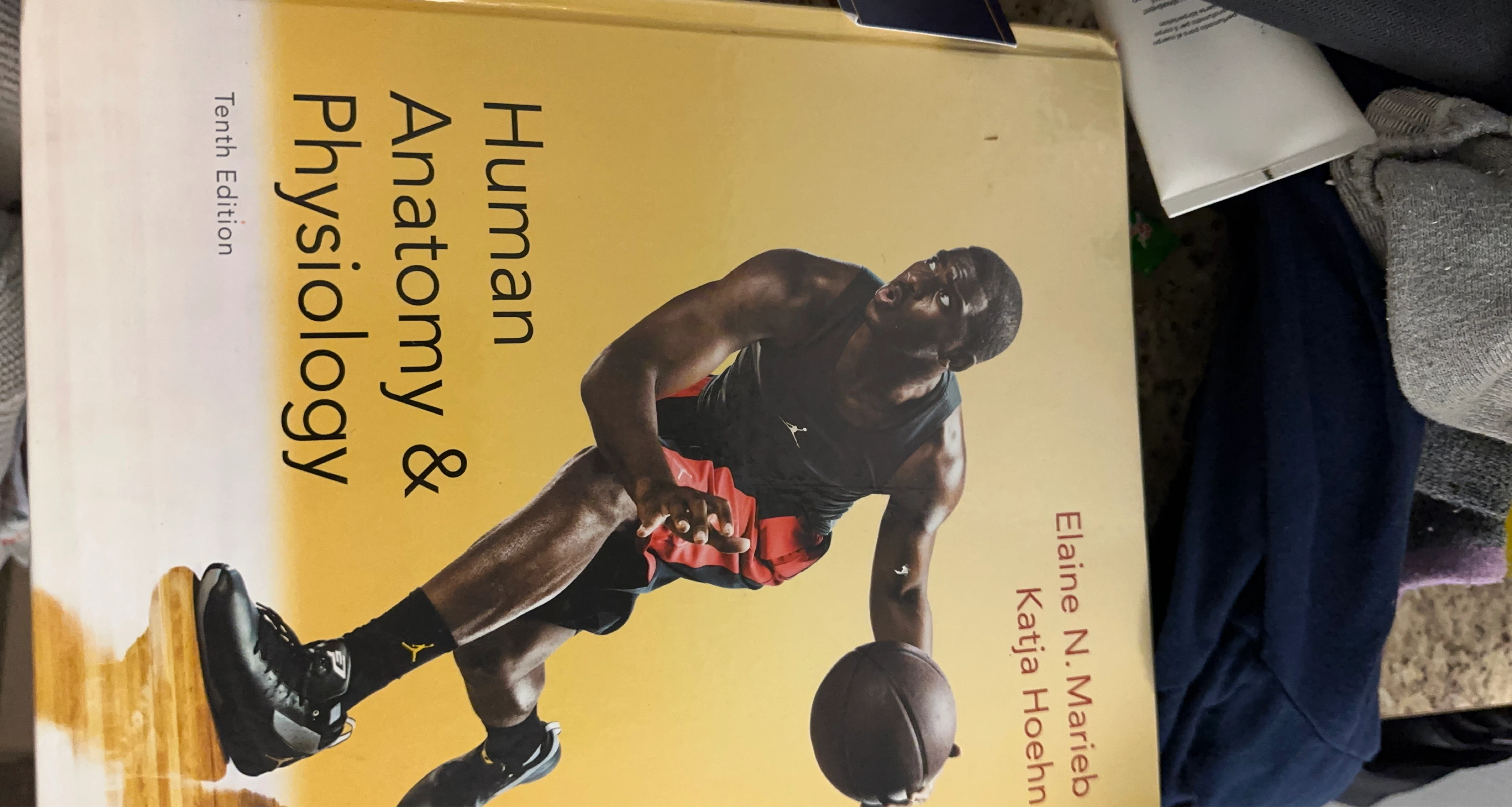 Human Anatomy & Physiology Tenth Edition Textbook