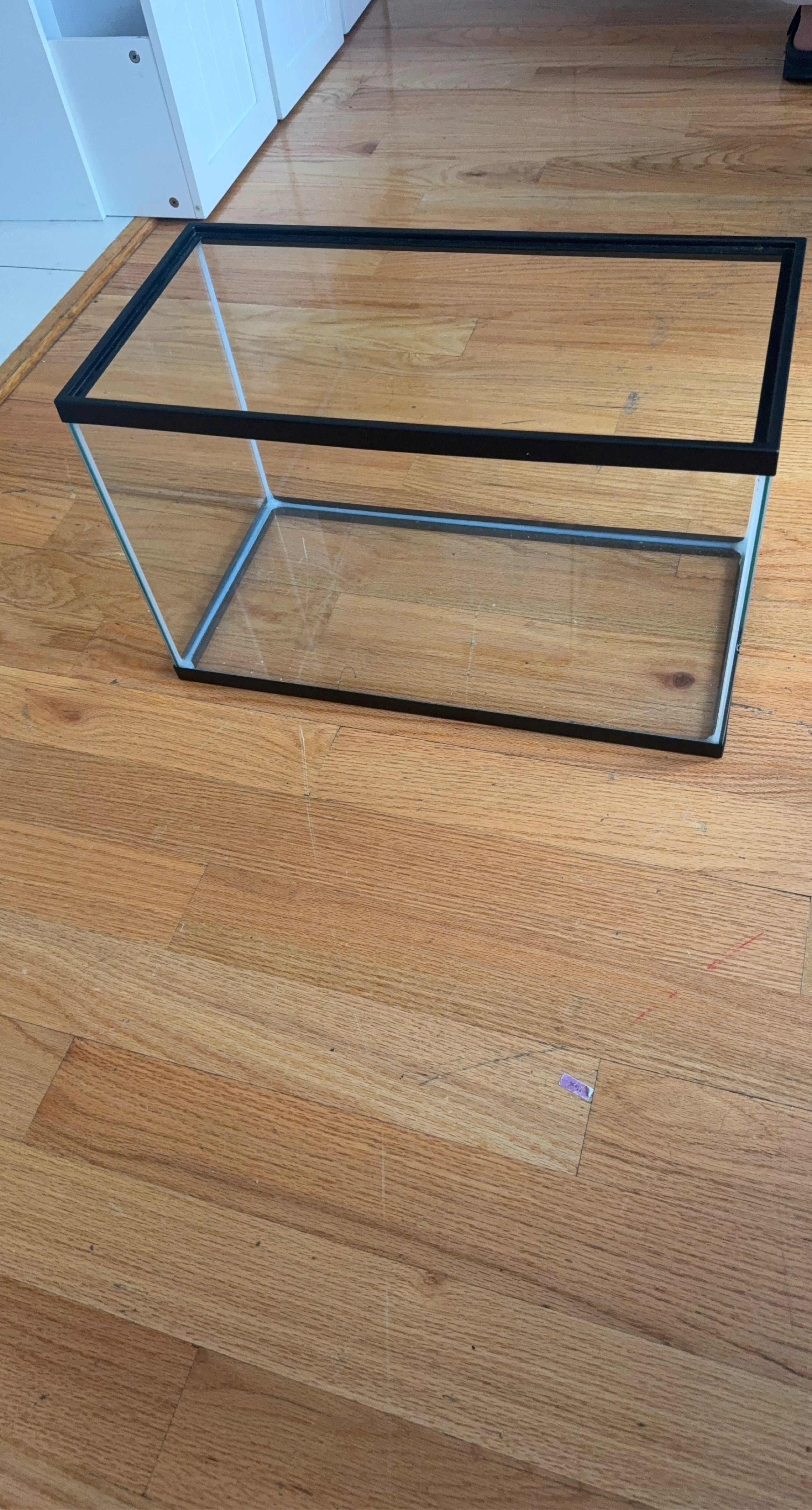 Glass Aquarium Tank