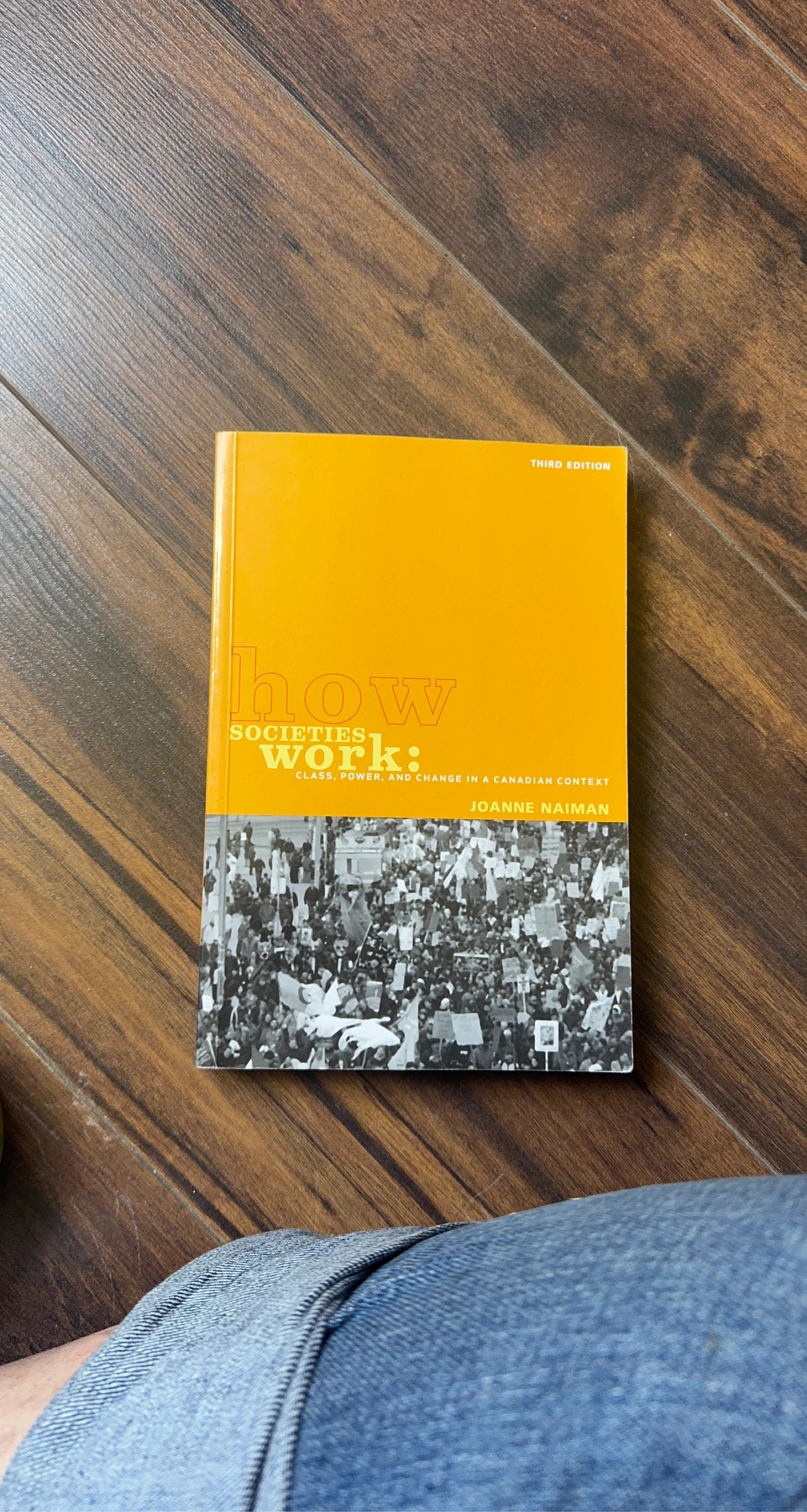 How Societies Work: 3rd Edition
