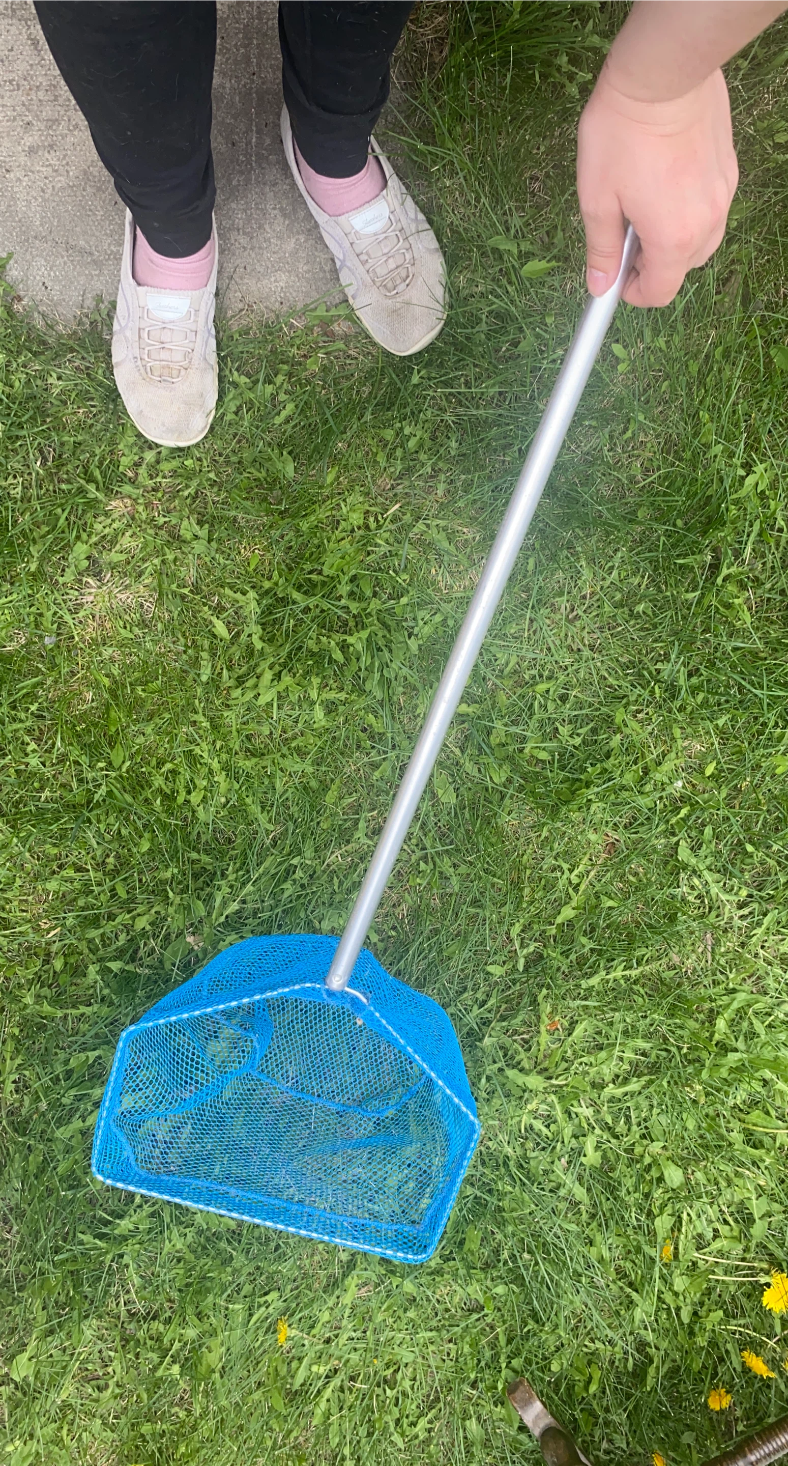 Blue Mesh Net with Silver Handle