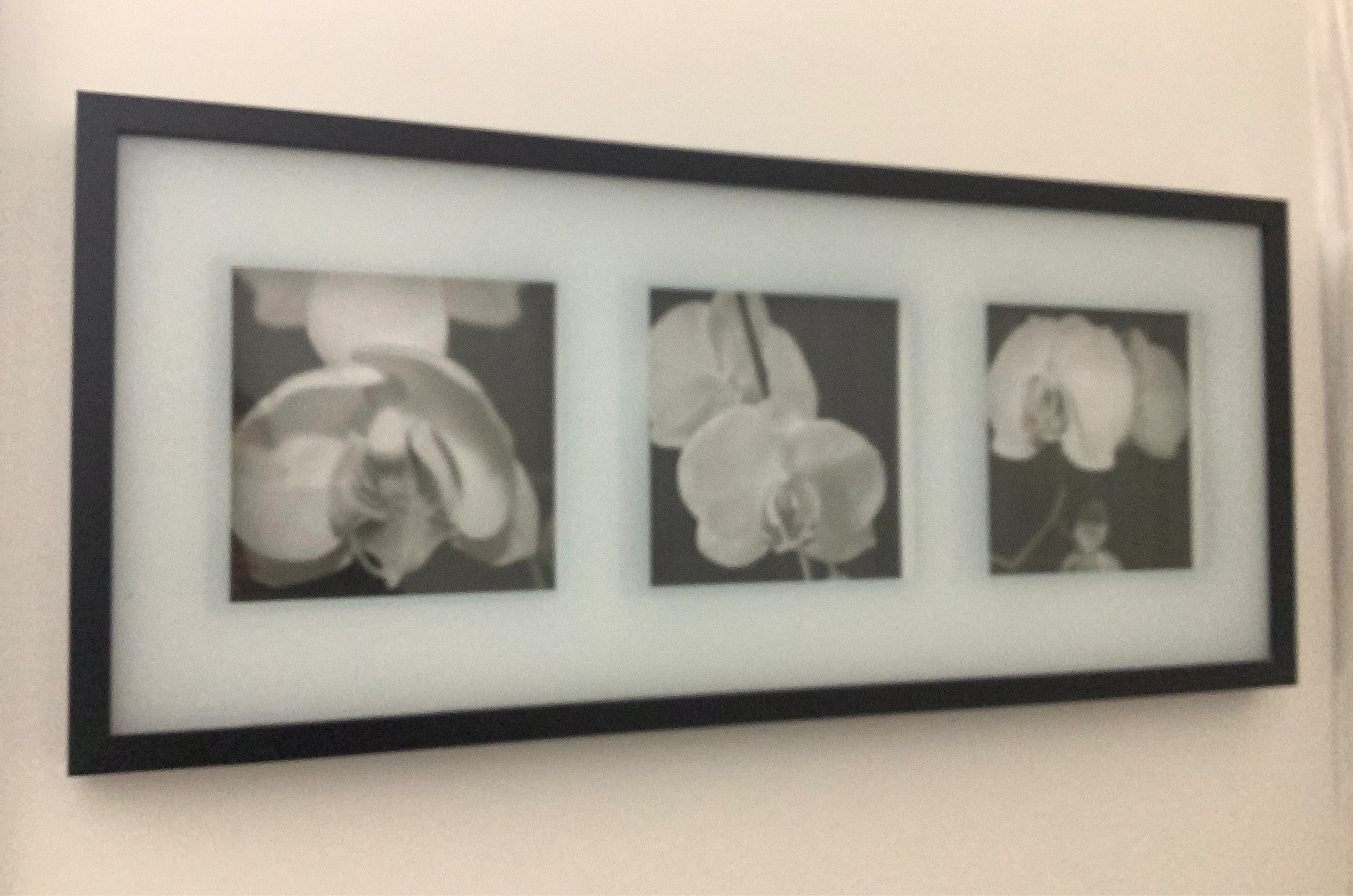 Framed Set of 3 Black and White Orchid Prints