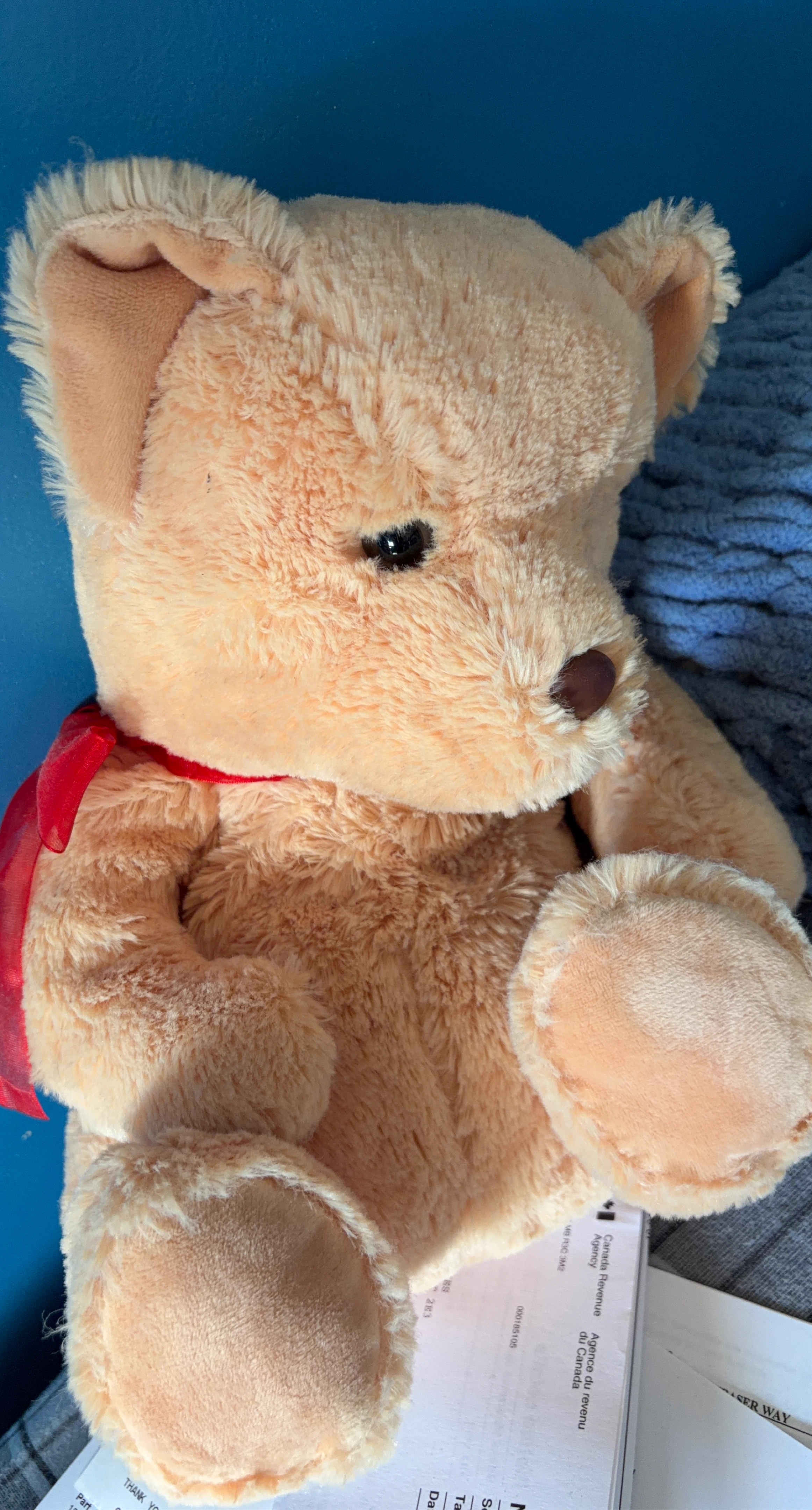 Plush Teddy Bear with Red Ribbon