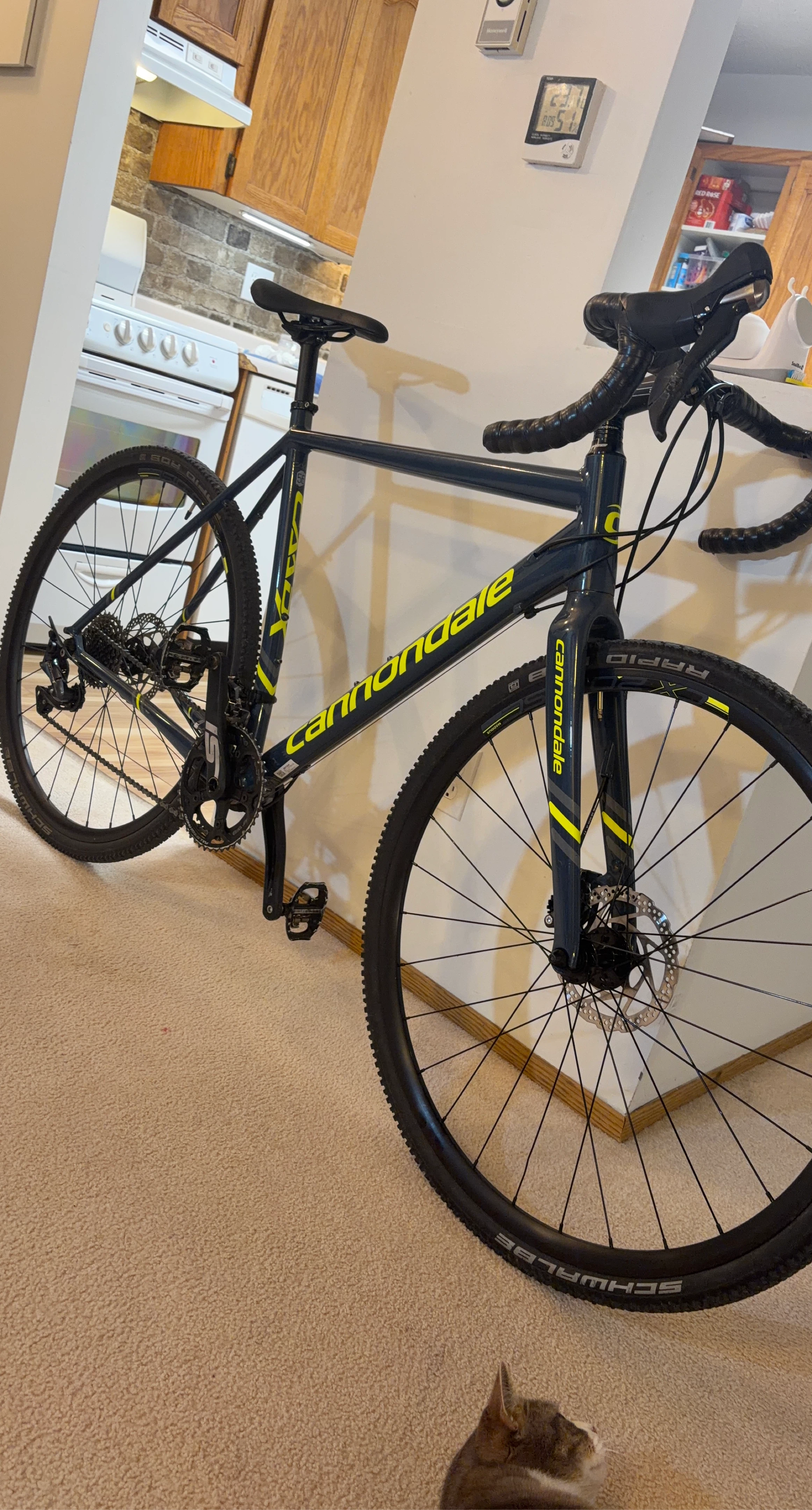 Cannondale Gravel Bike