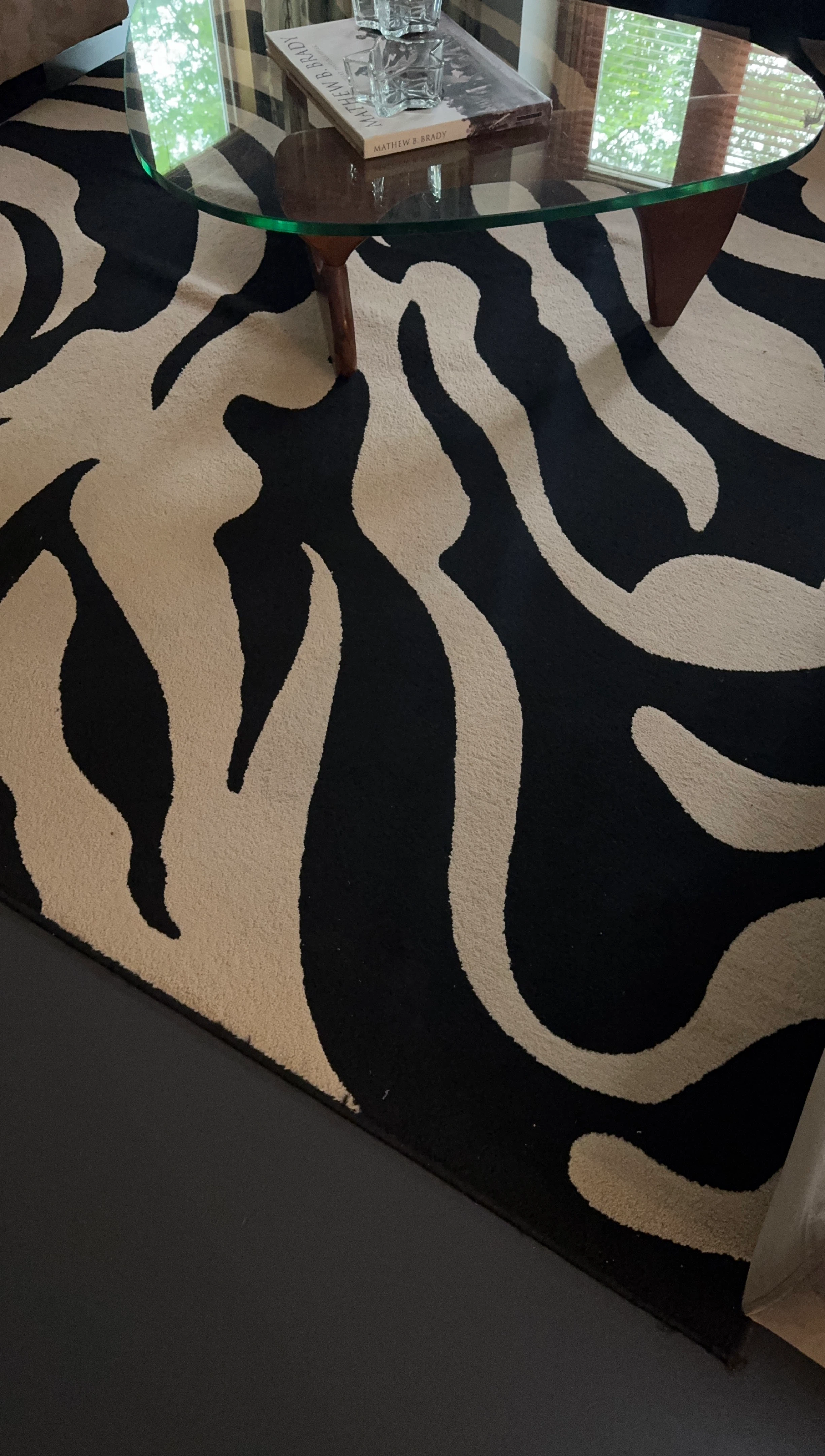 LARGE Zebra Print Area Rug