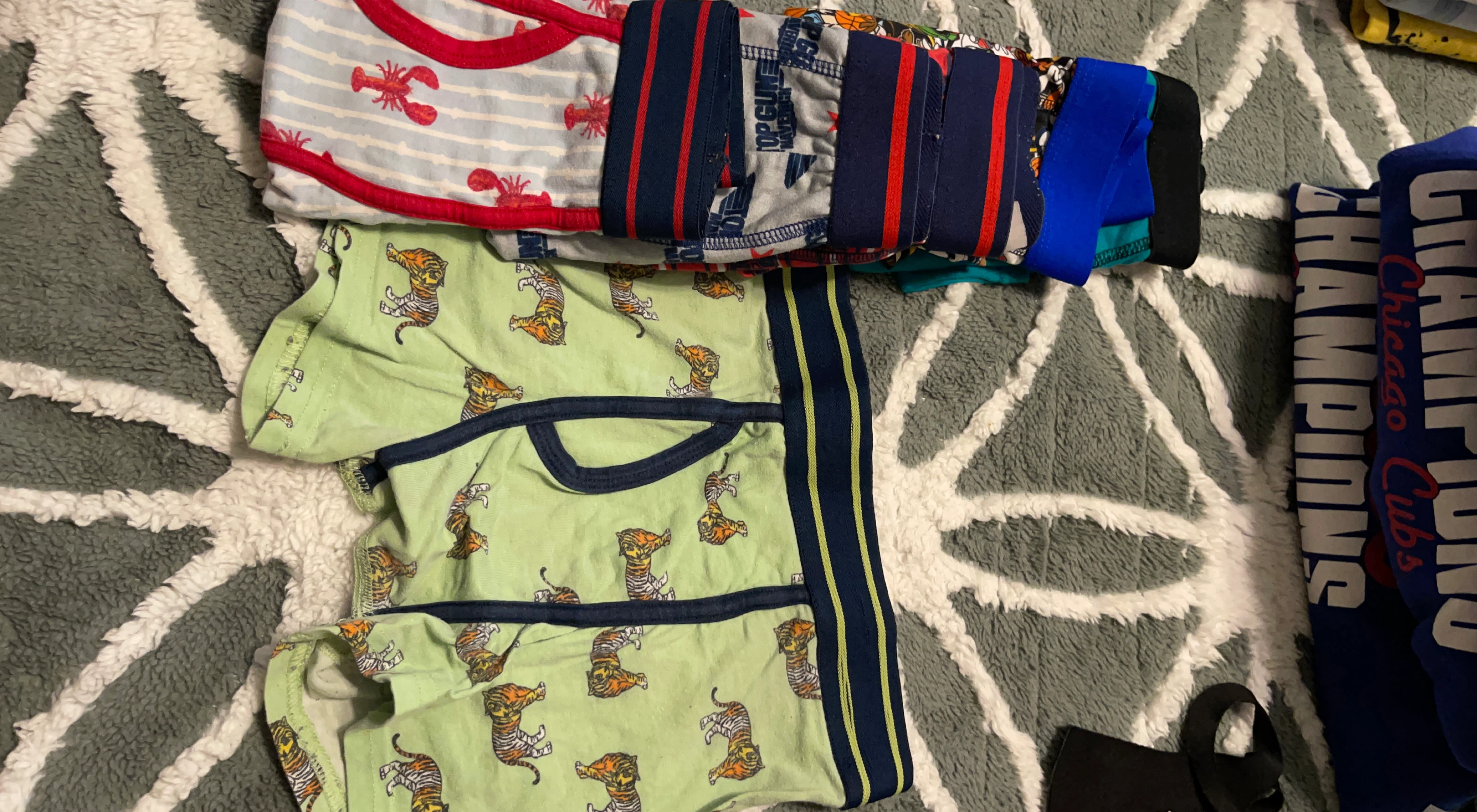 Boys Boxer Briefs Lot