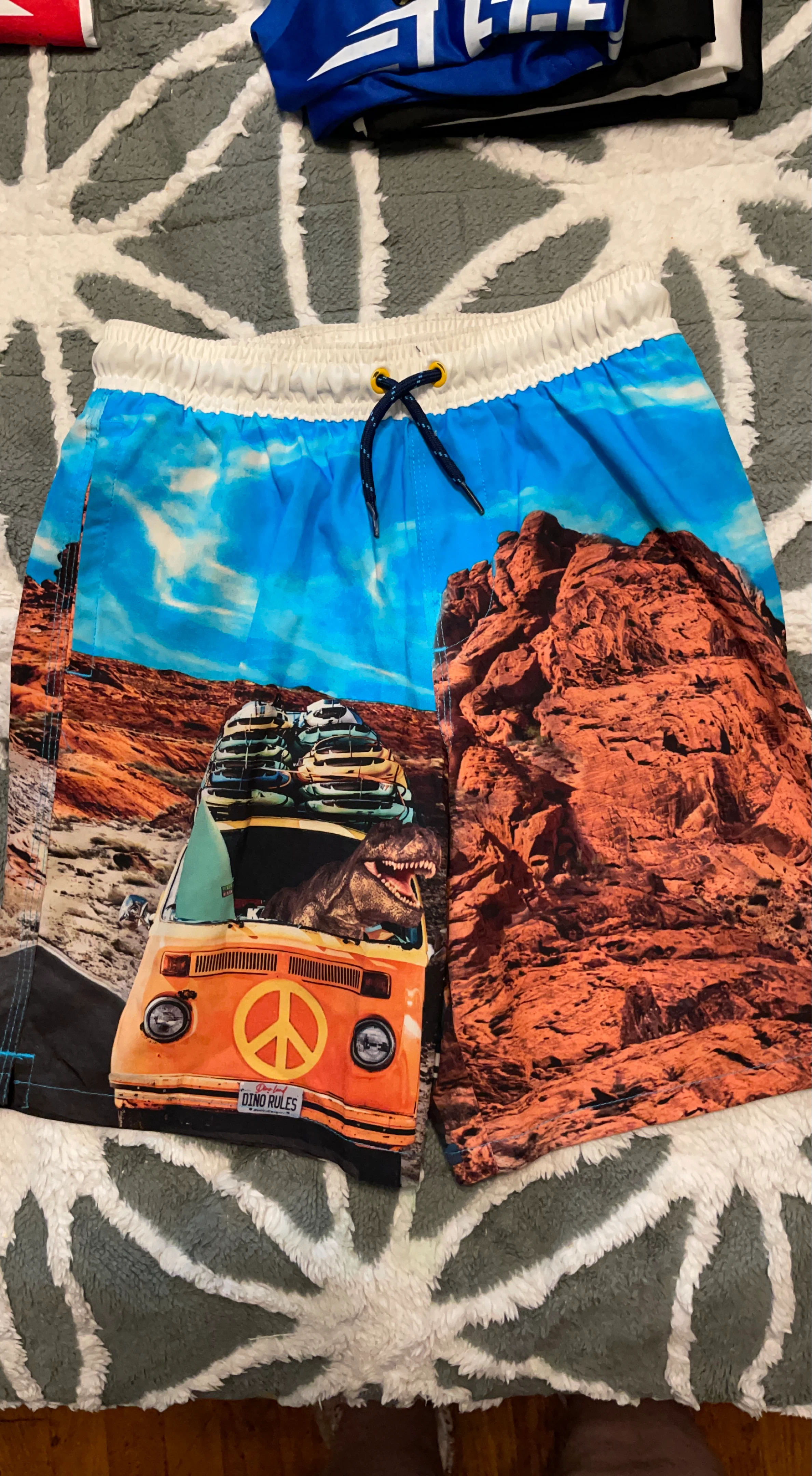 Boys' Swim Trunks