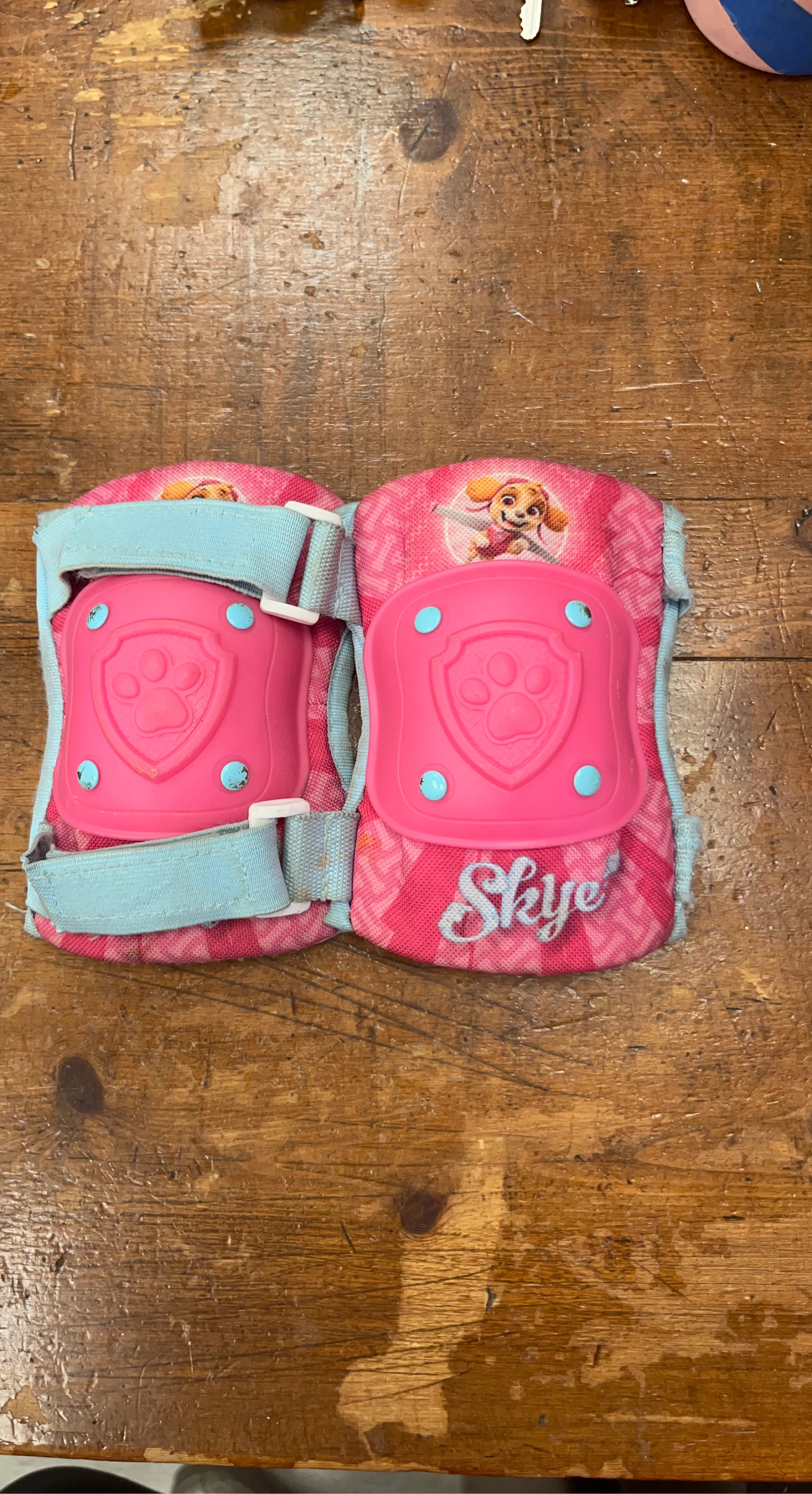 Paw Patrol Skye Elbow Pads