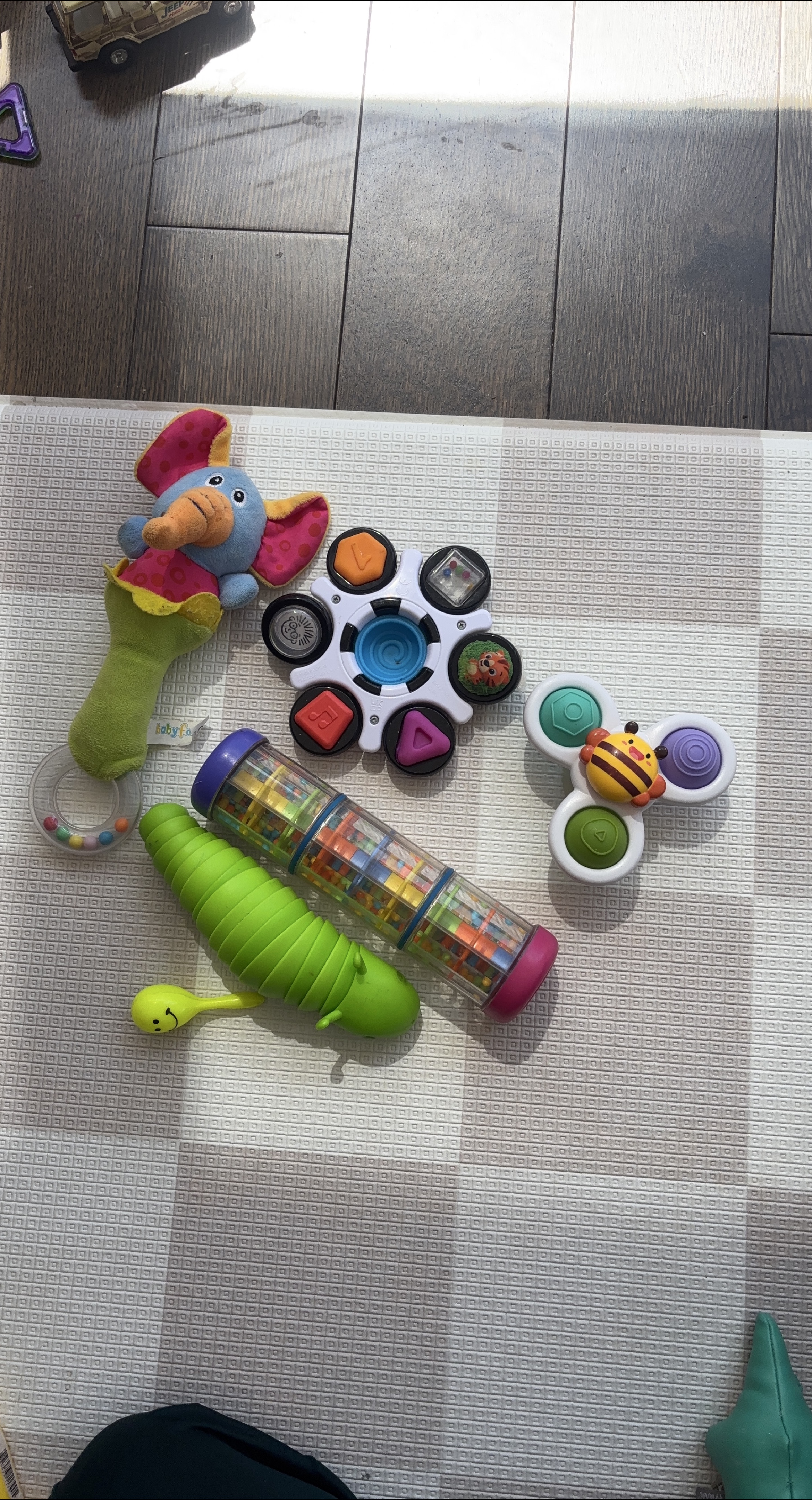 Baby Einstein Lot of Baby Toys
