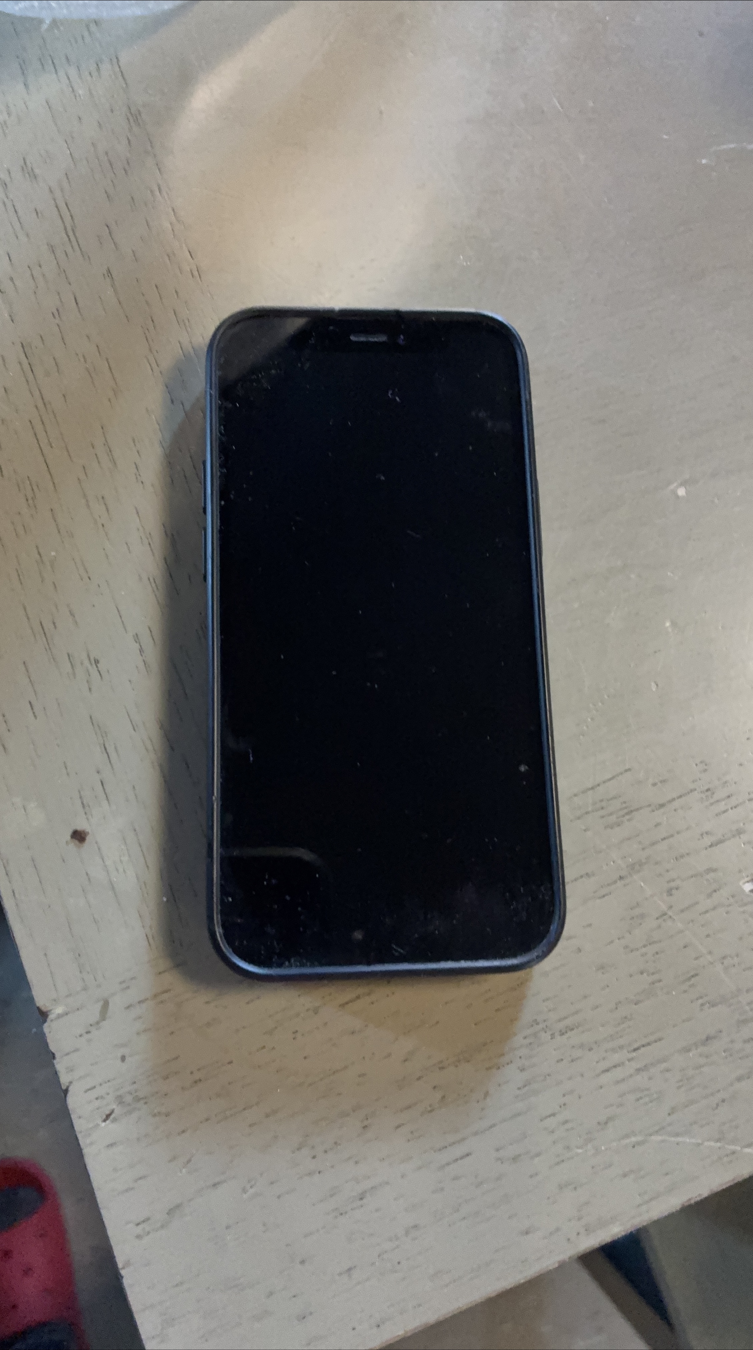 Apple iPhone 12 Mini