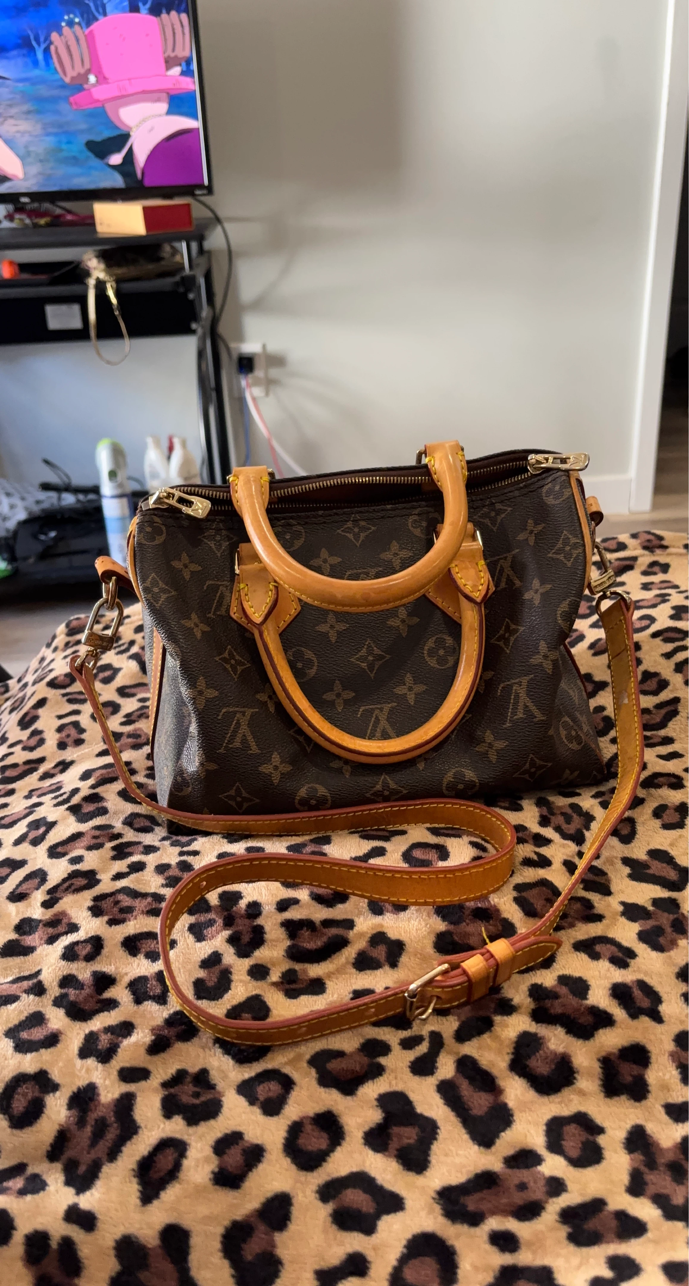 Louis Vuitton Monogram Speedy Bag