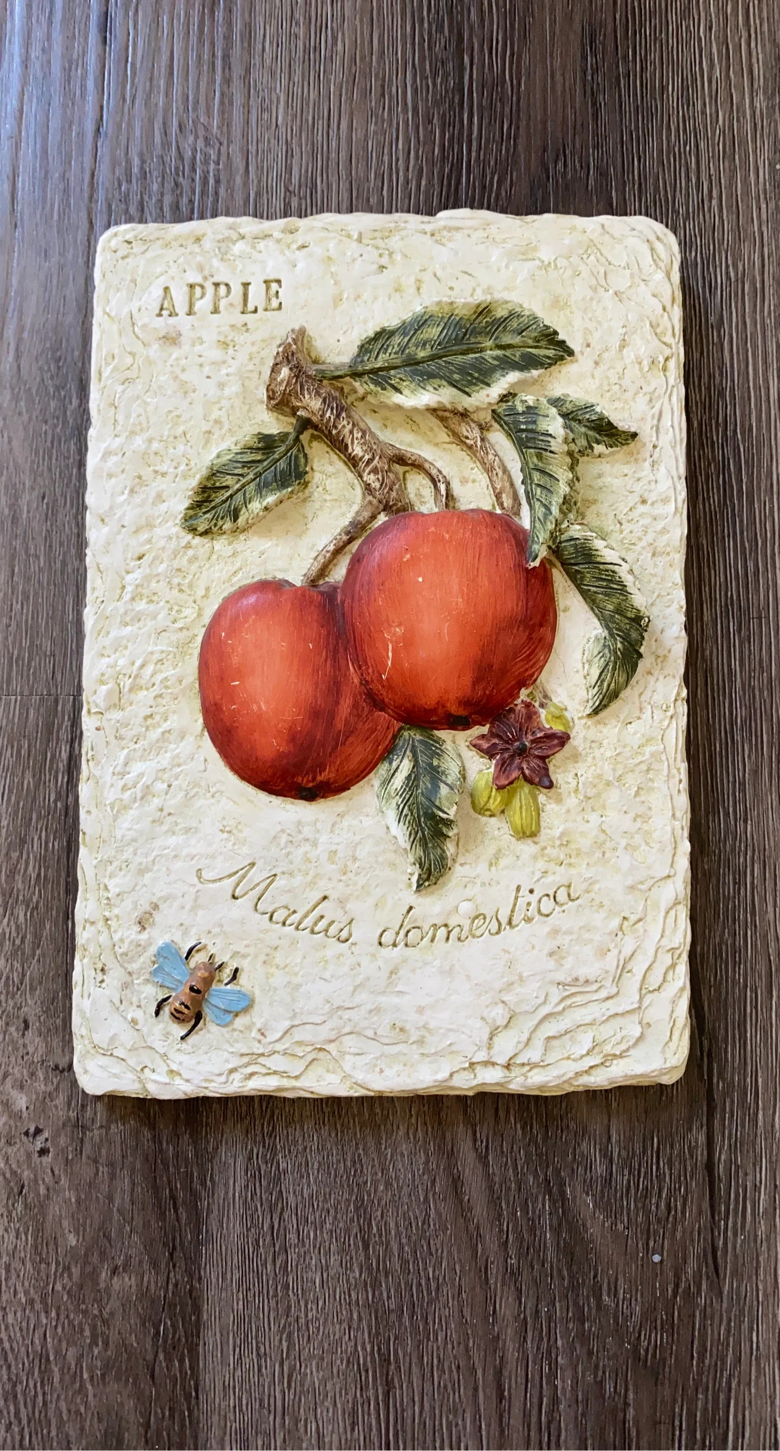 Apple "Malus domestica" Wall Art Plaque