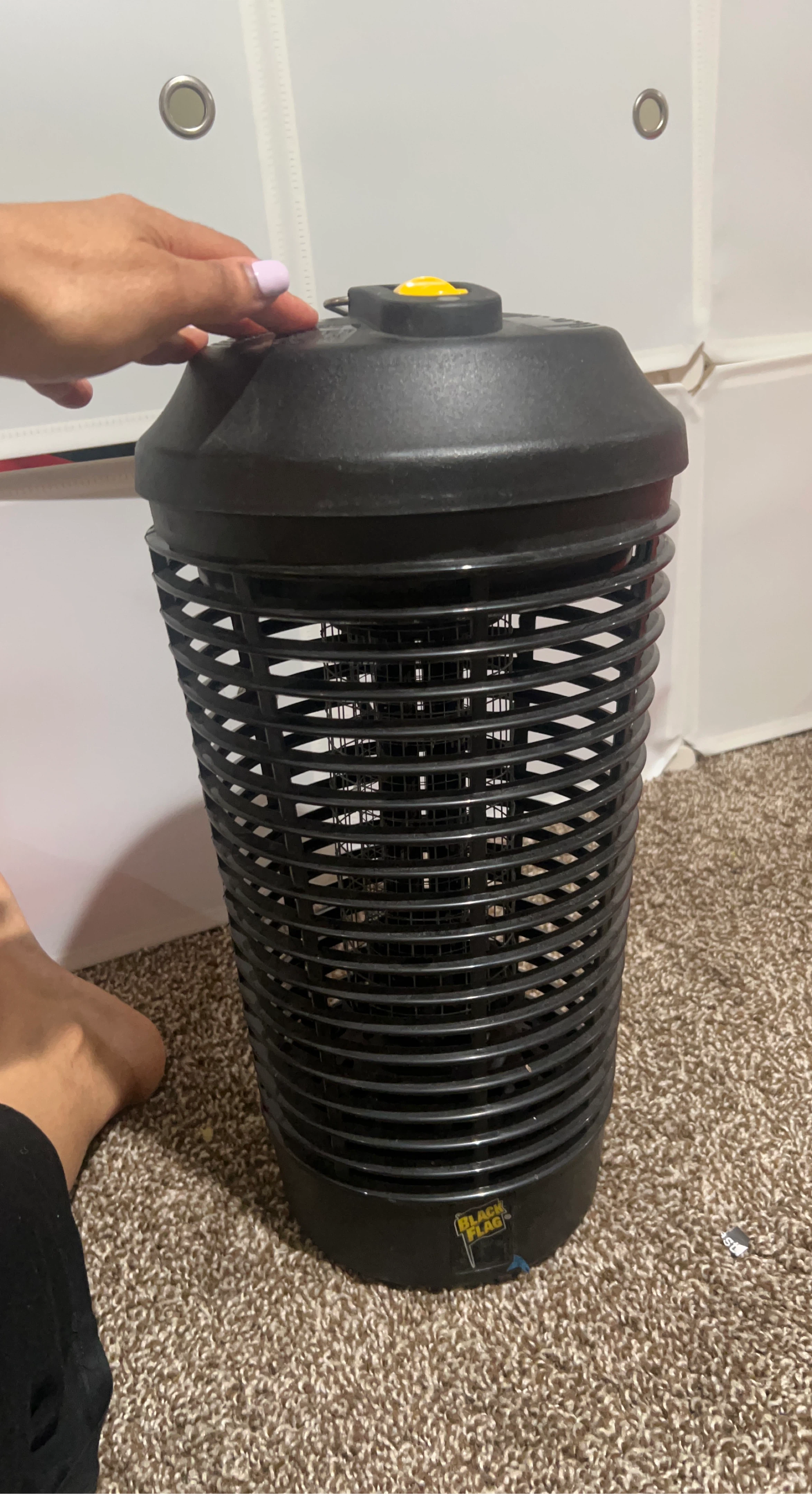 Black Flag Insect Zapper